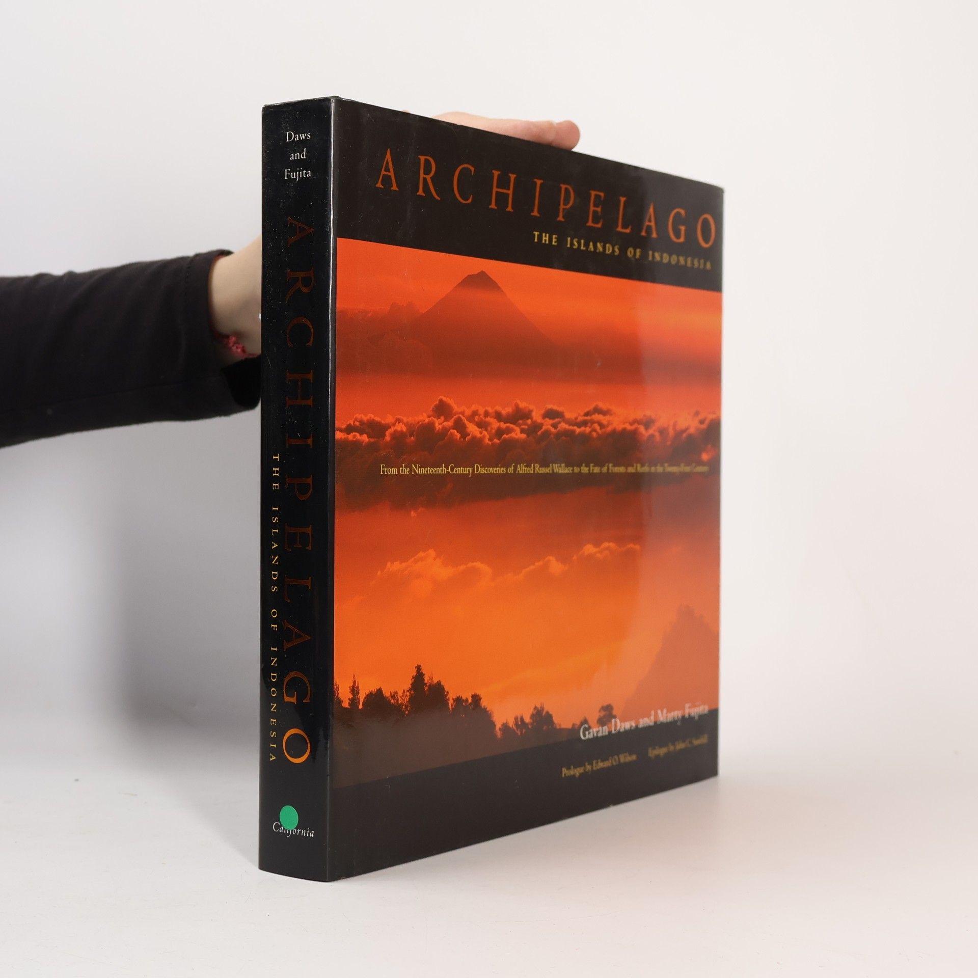 Archipelago - The Islands of Indonesia