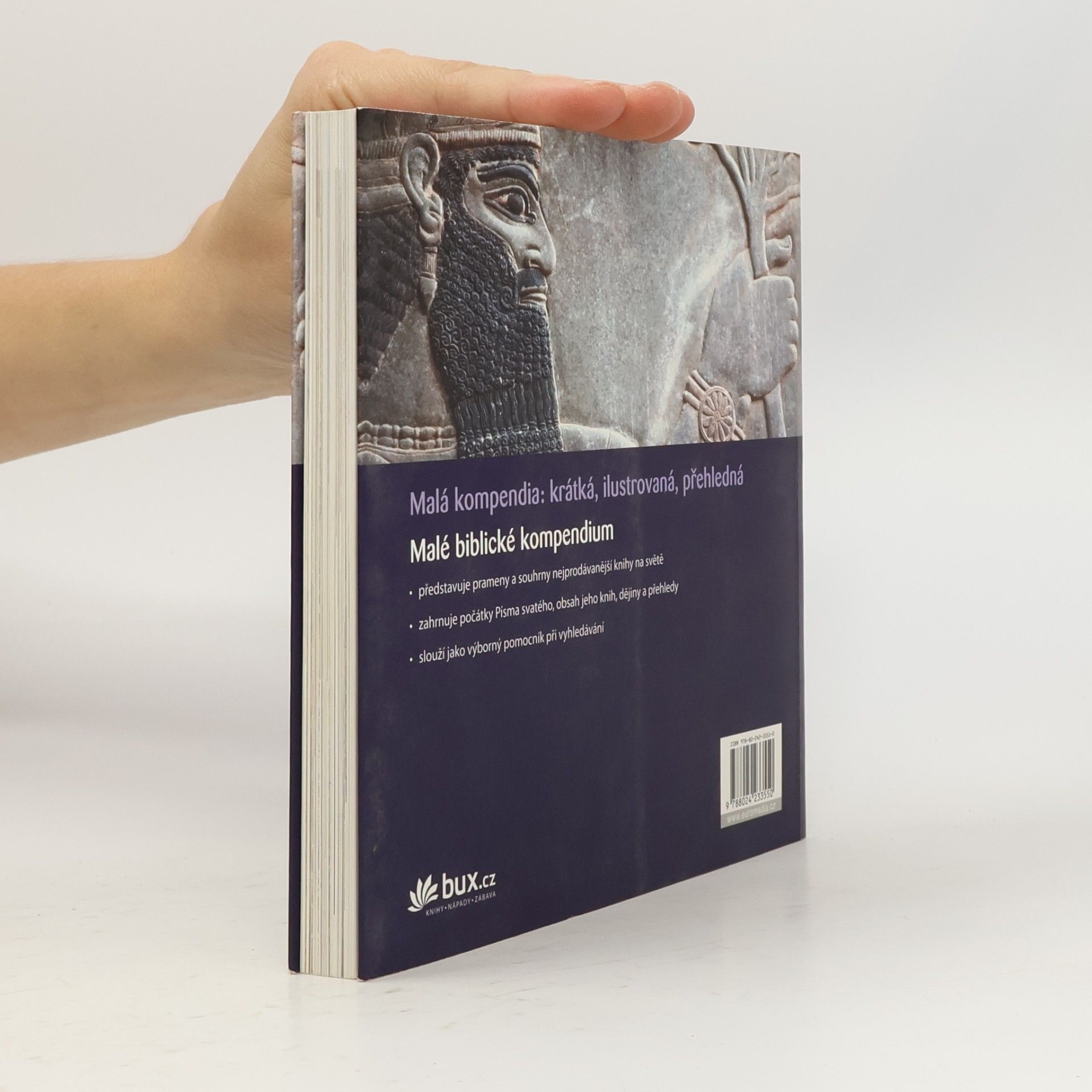 Debra Reid Malé biblické kompendium