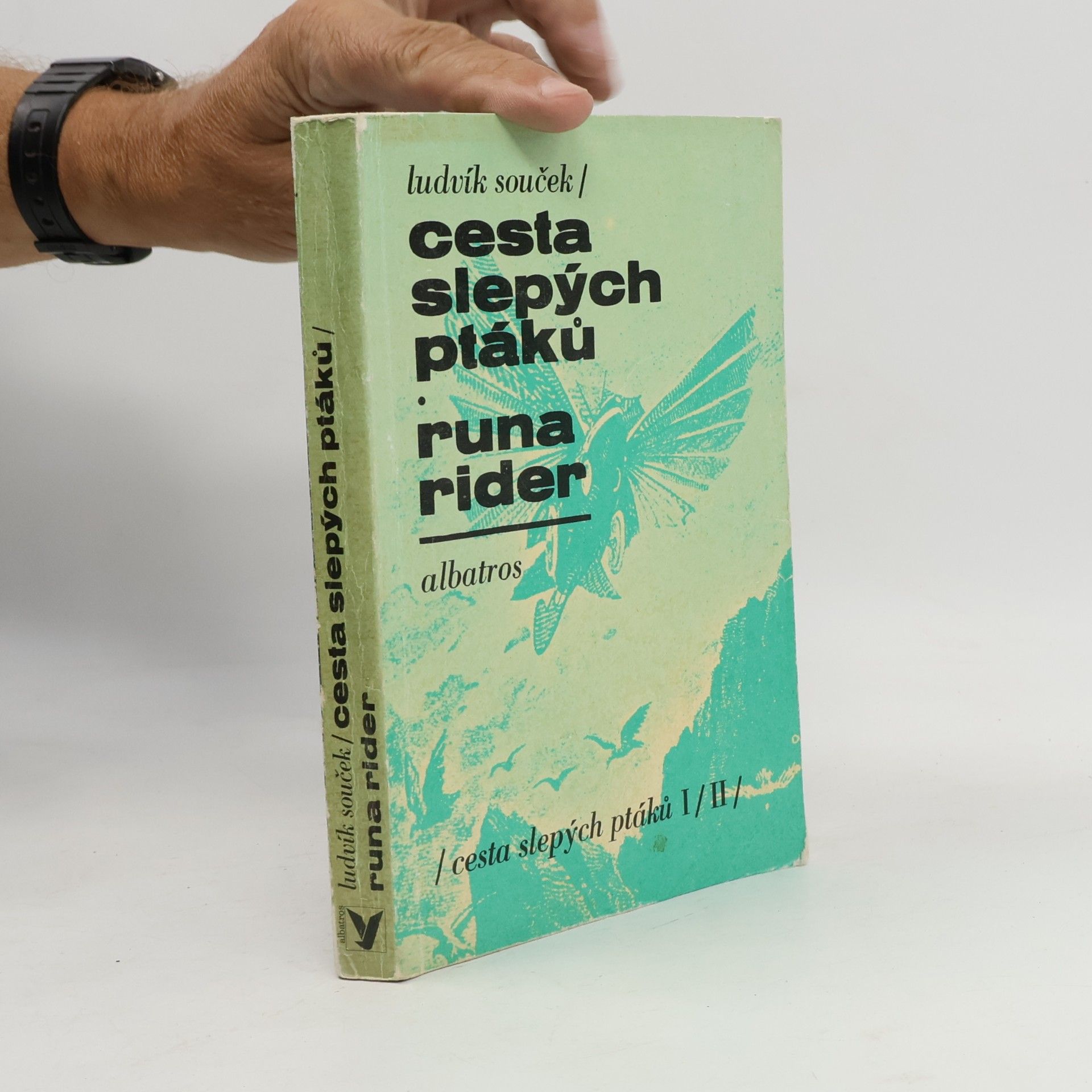 Cesta slepých ptáků. Runa rider