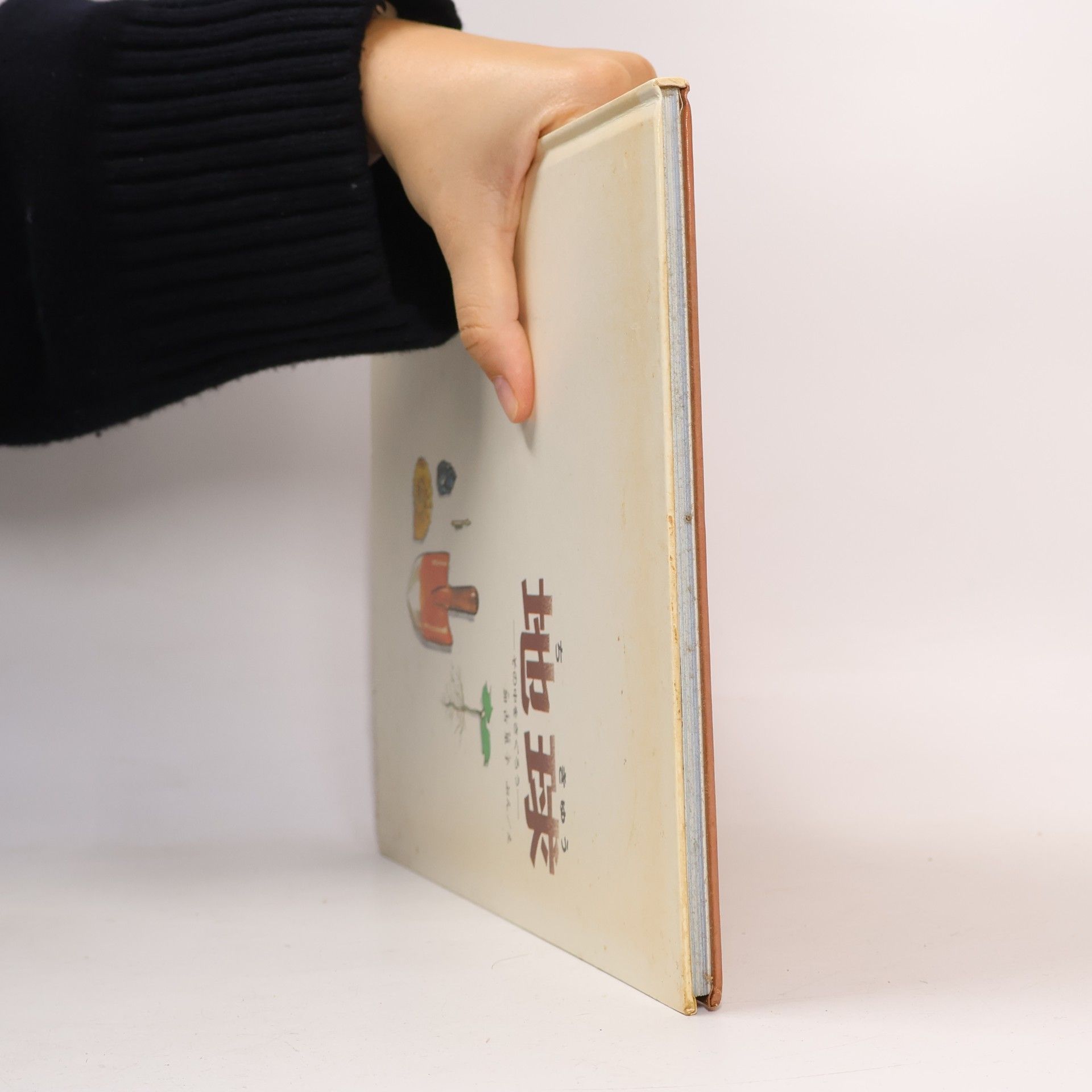 Kako Satoshi 地球. Chikyū