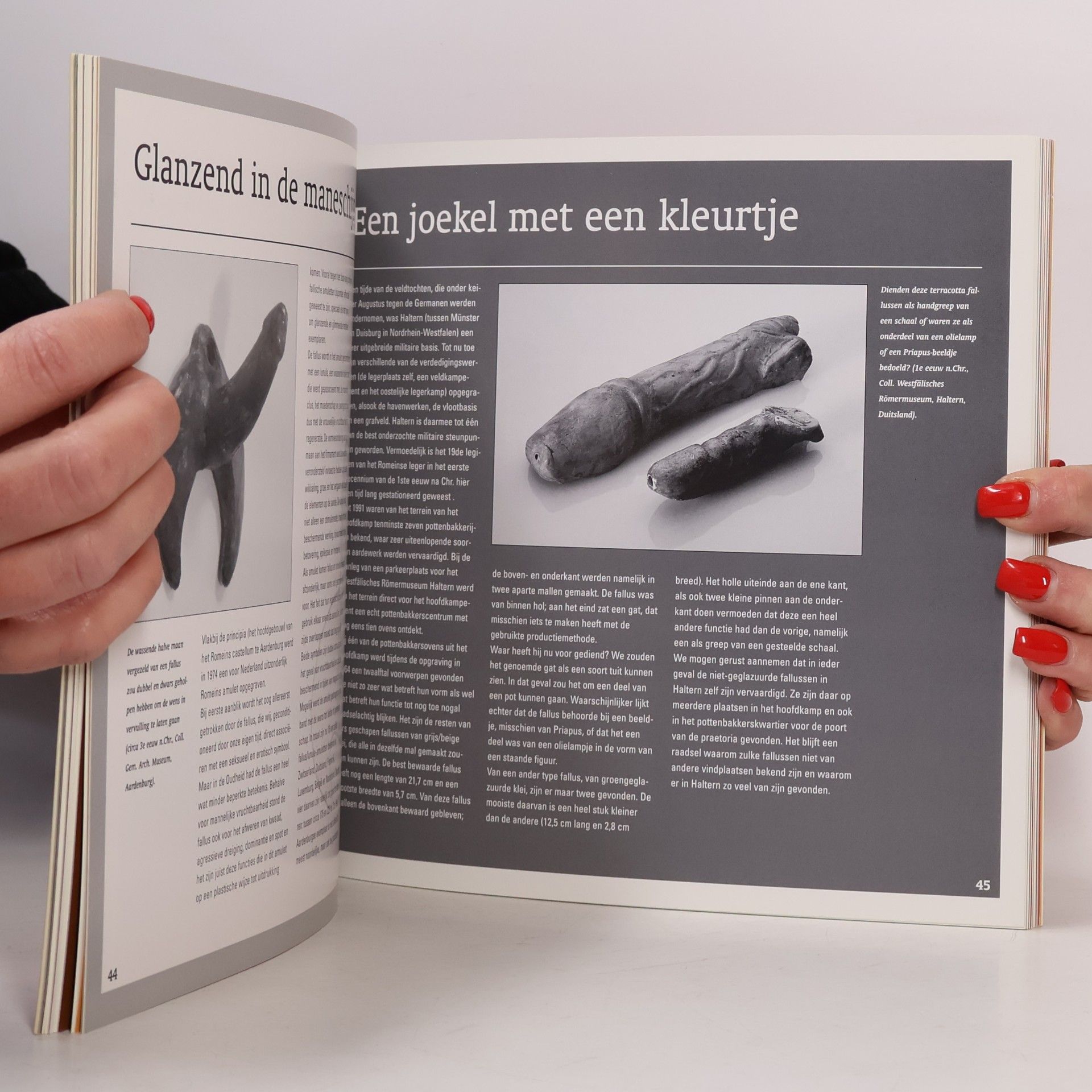 V. T. van Vilsteren 100.000 jaar sex