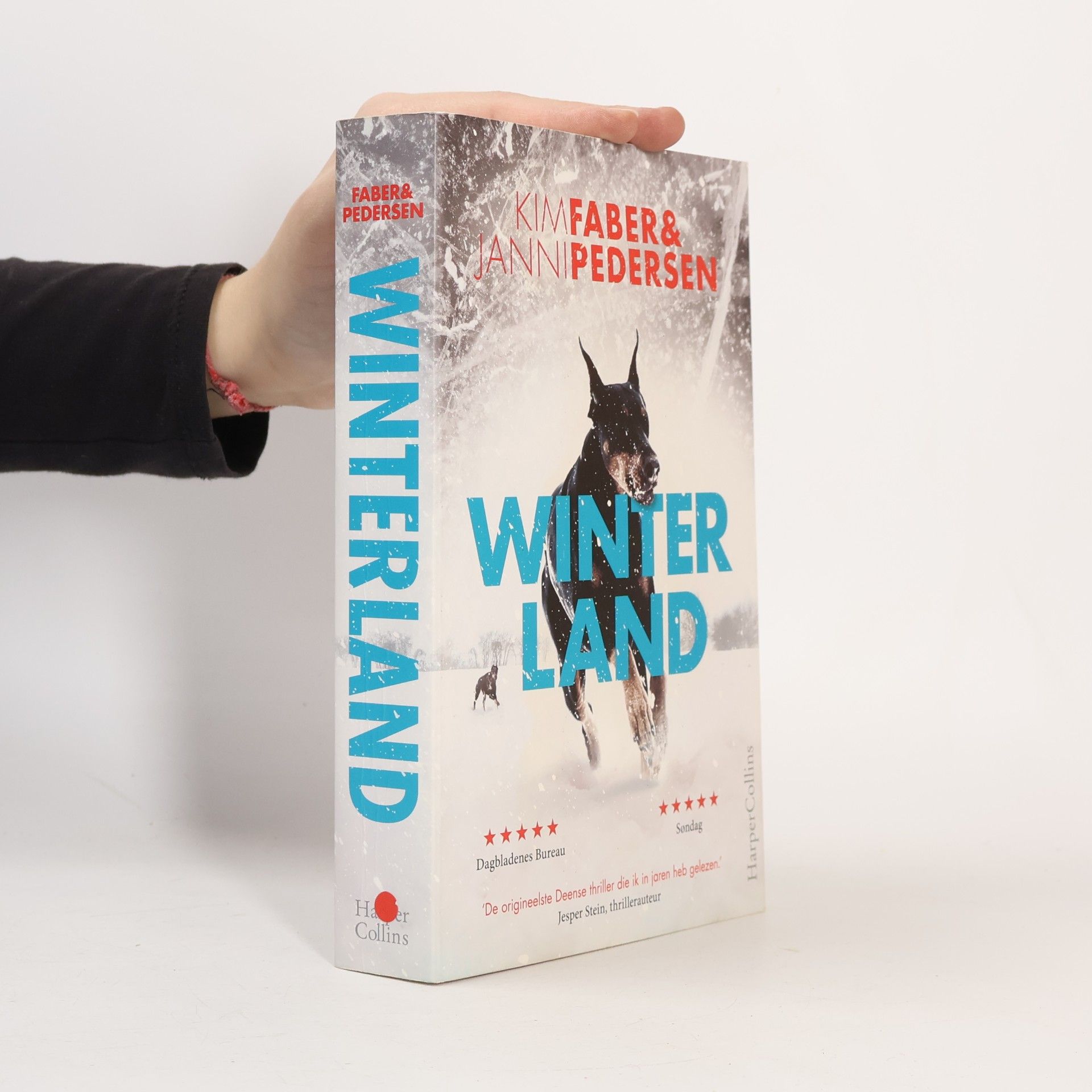 Winterland