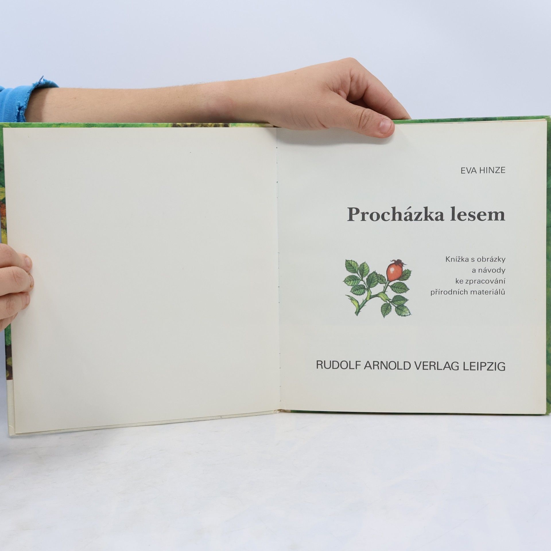 Eva Hinze Procházka lesem