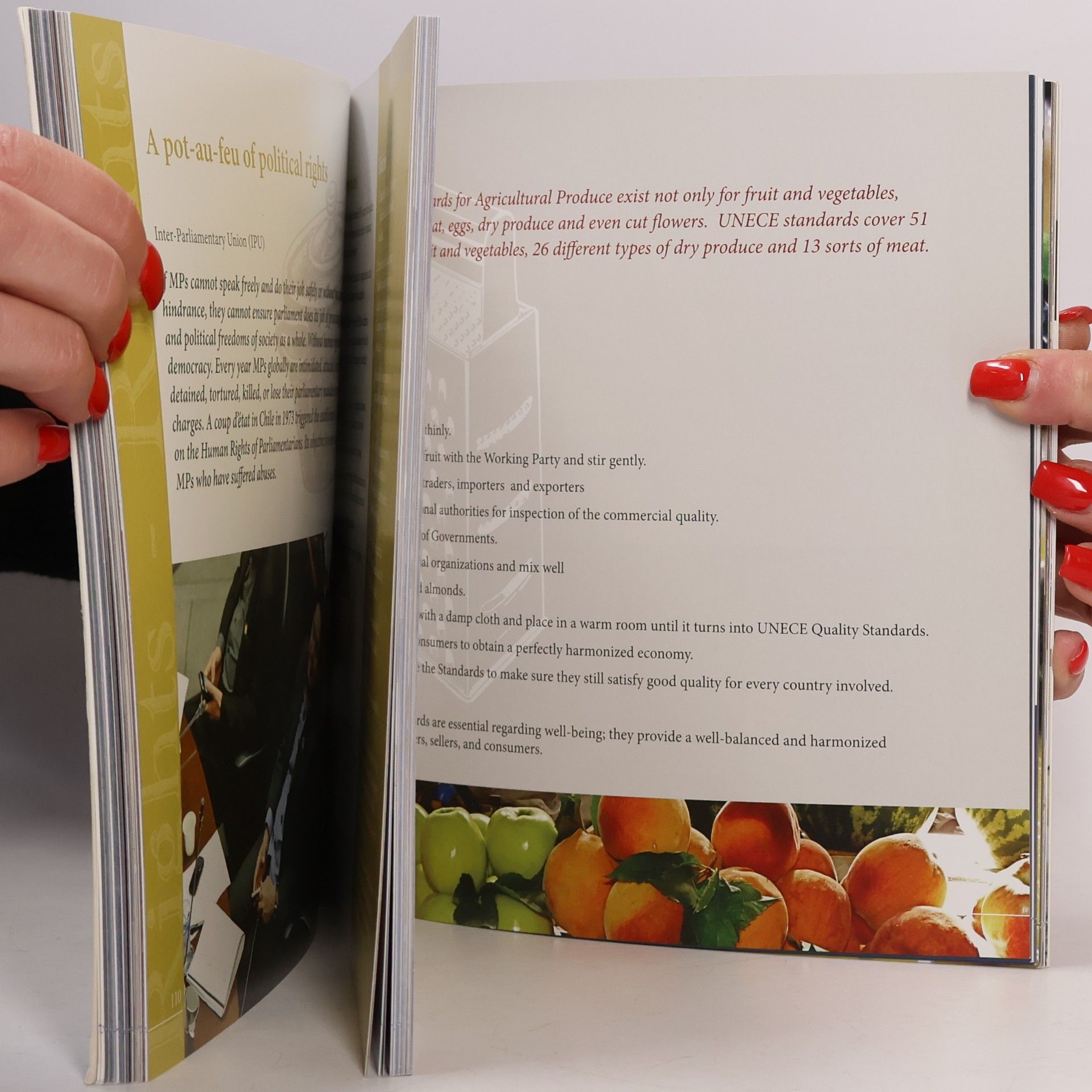 Various authors Recipes for Peace, Rights & Well-being