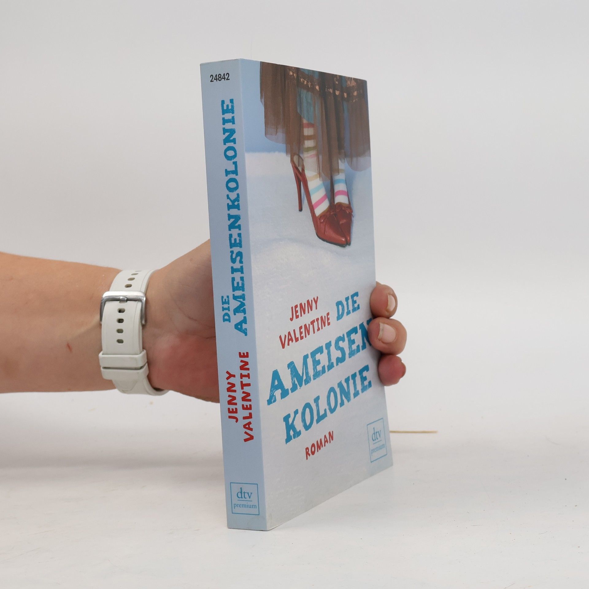 Jenny Valentine Die Ameisenkolonie