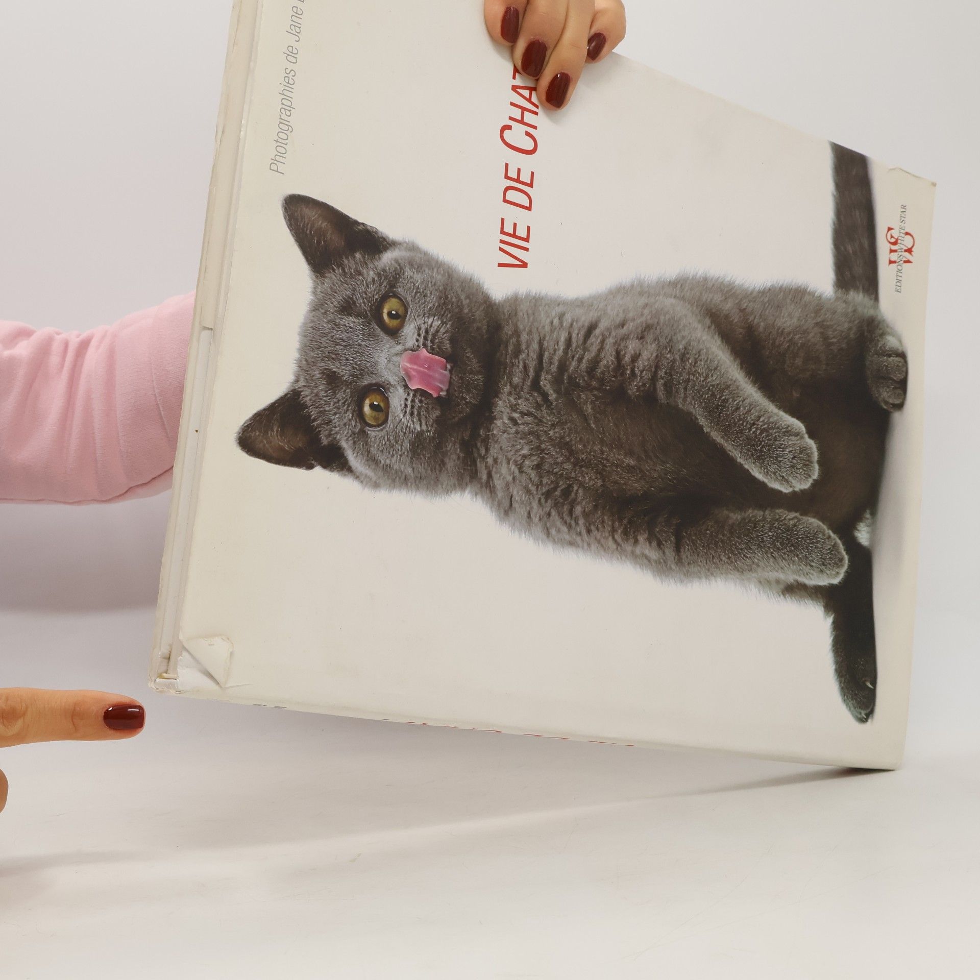 Kim Taylor Vie de chat!
