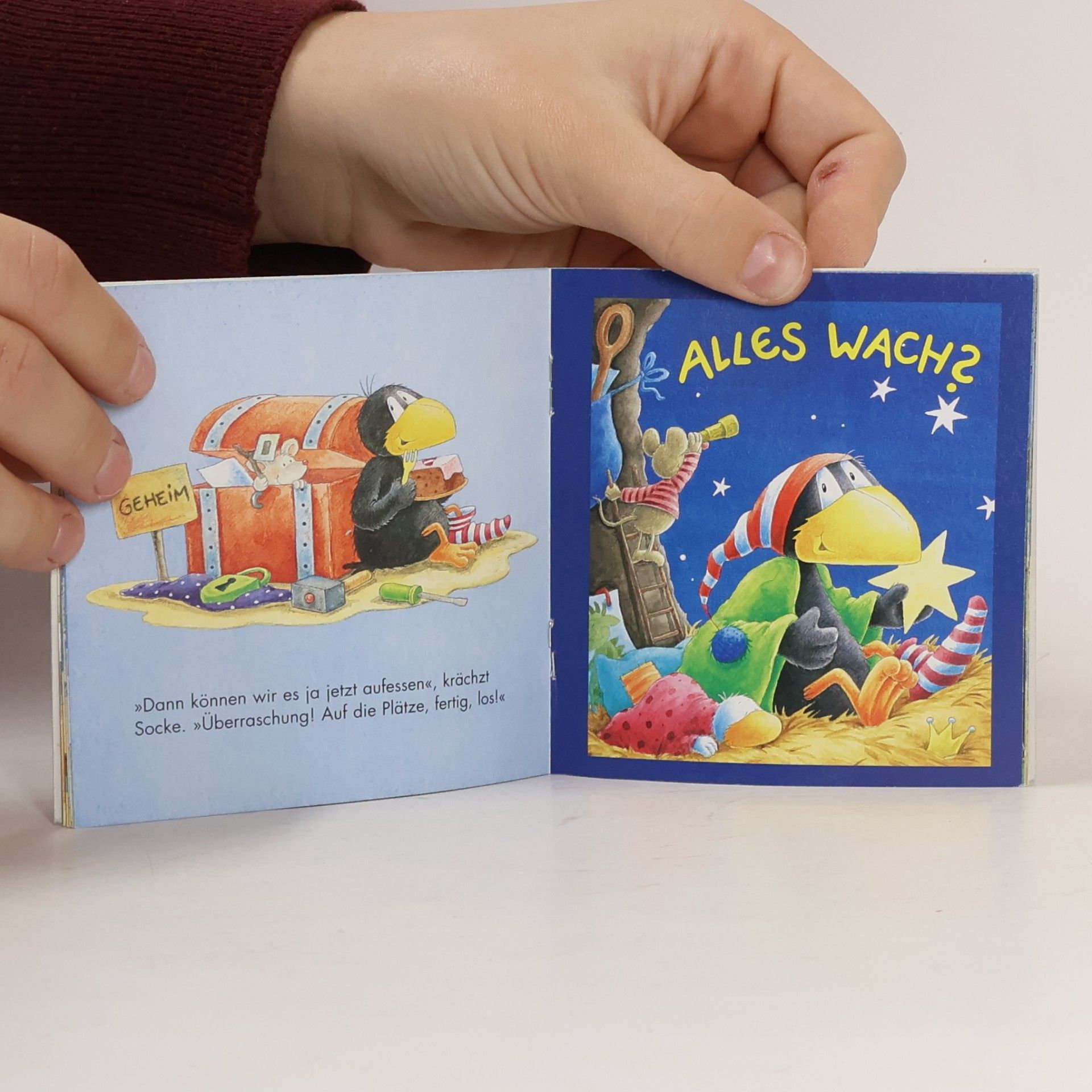 Nele Moost Der kleine Rabe Socke und die Geheimniskrämer
