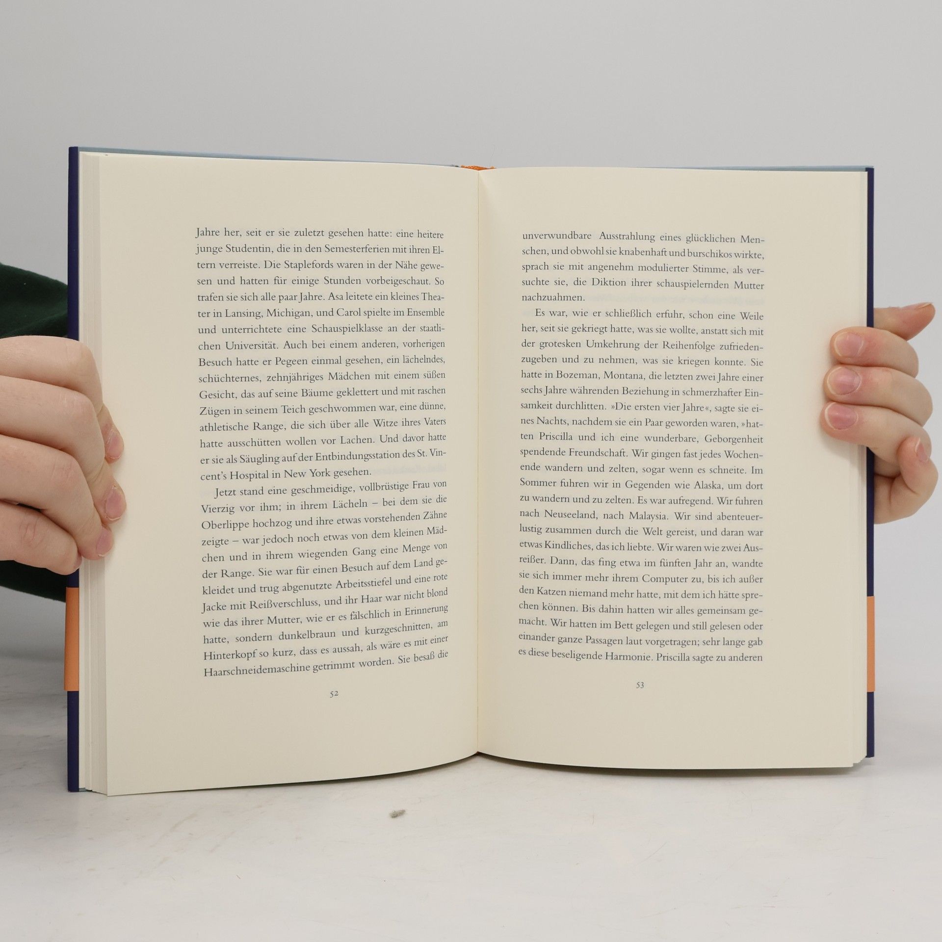 Philip Roth Die Demütigung