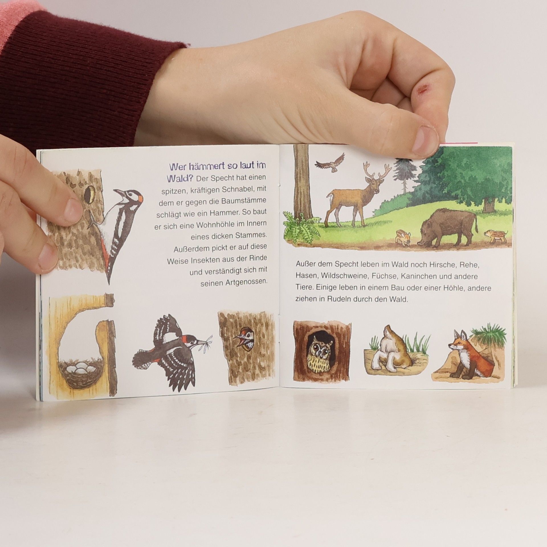 Various authors Entdecke die Natur
