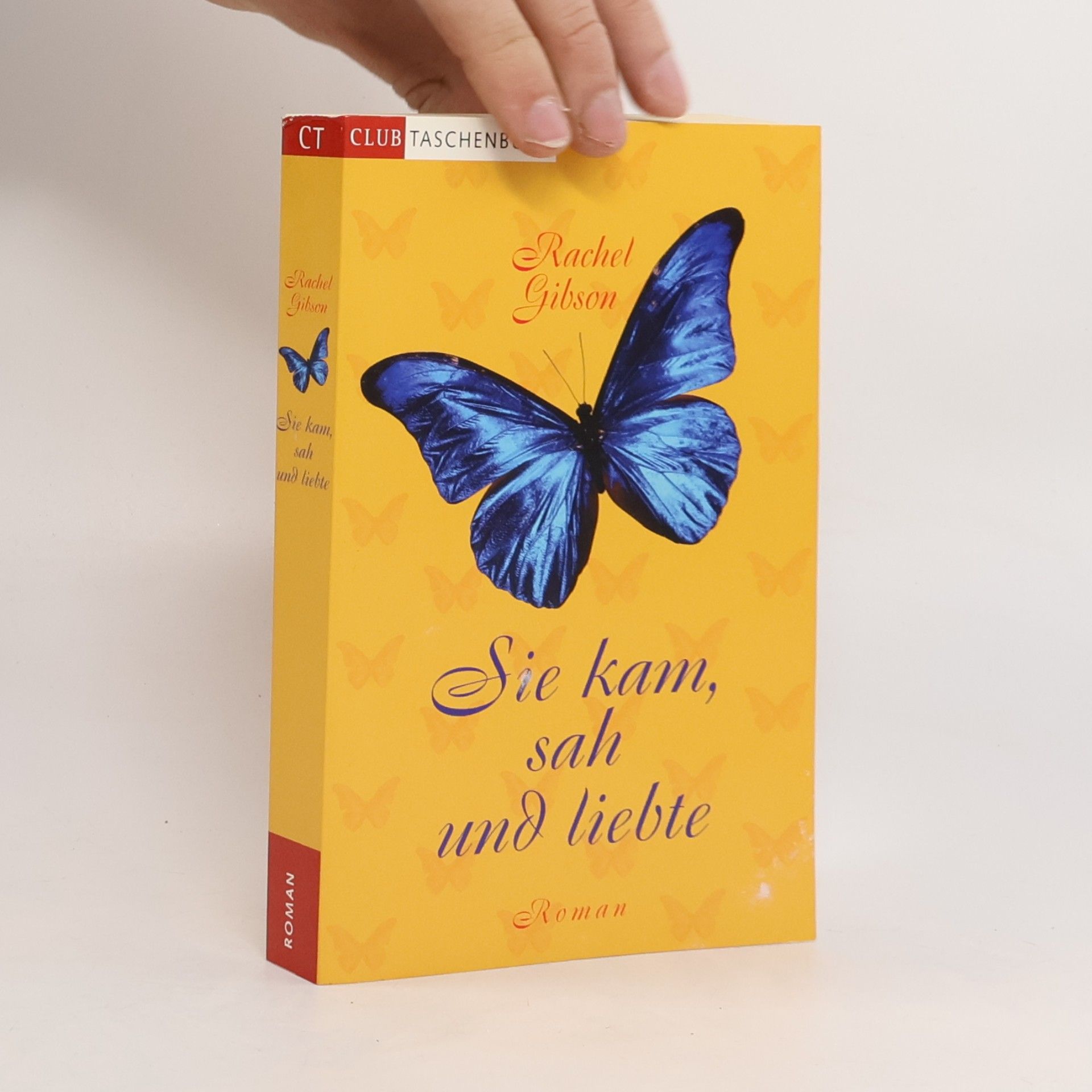 Rachel Gibson Sie kam, sah und liebte