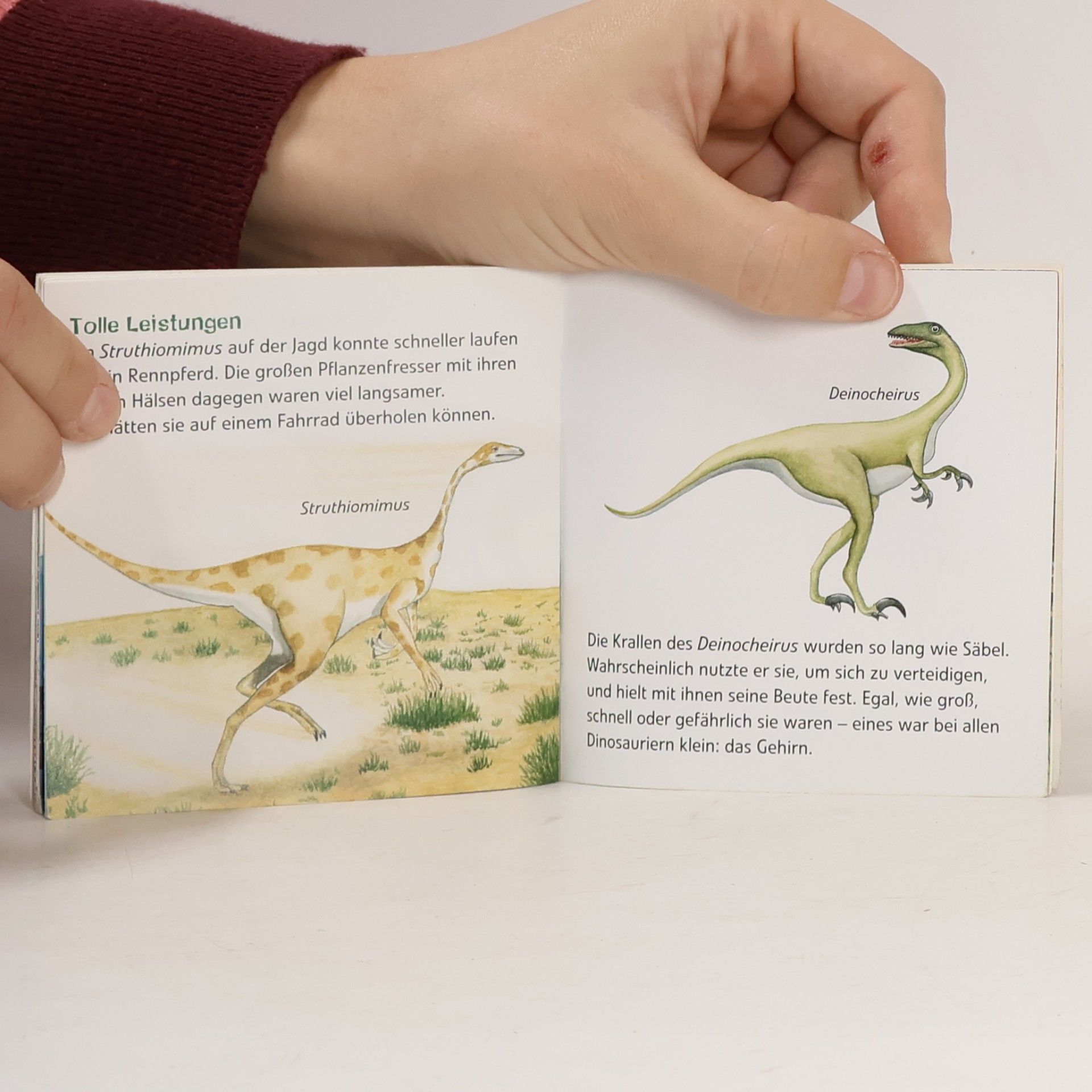 AA.VV. Entdecke die. Dinosaurier