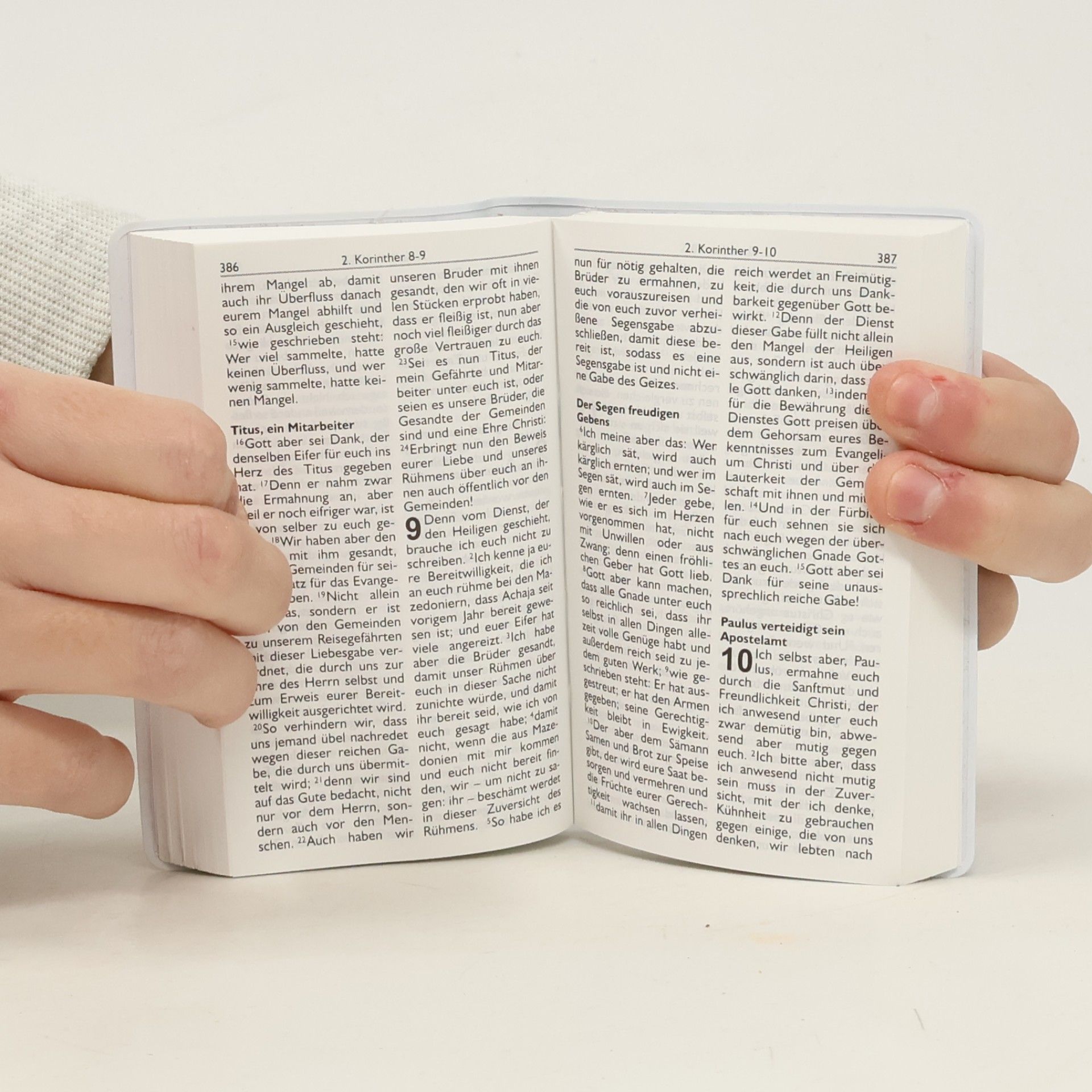 Autorenkollektiv Bibel. Neues Testament mit Psalmen Sprüchen