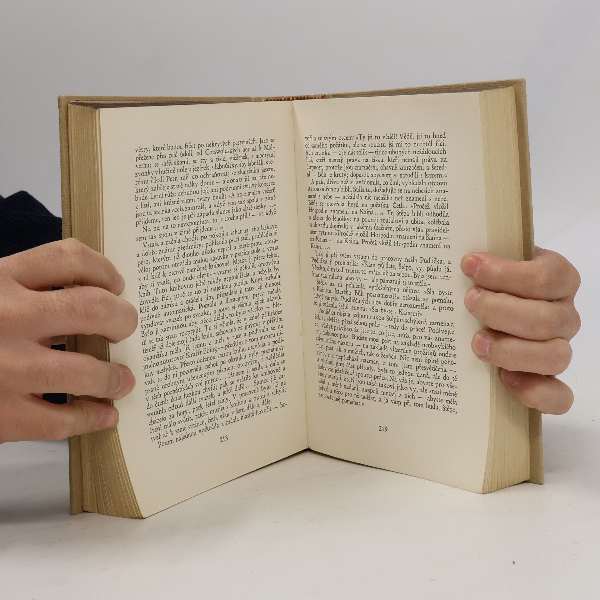 Radclyffe Hall Studna osamění