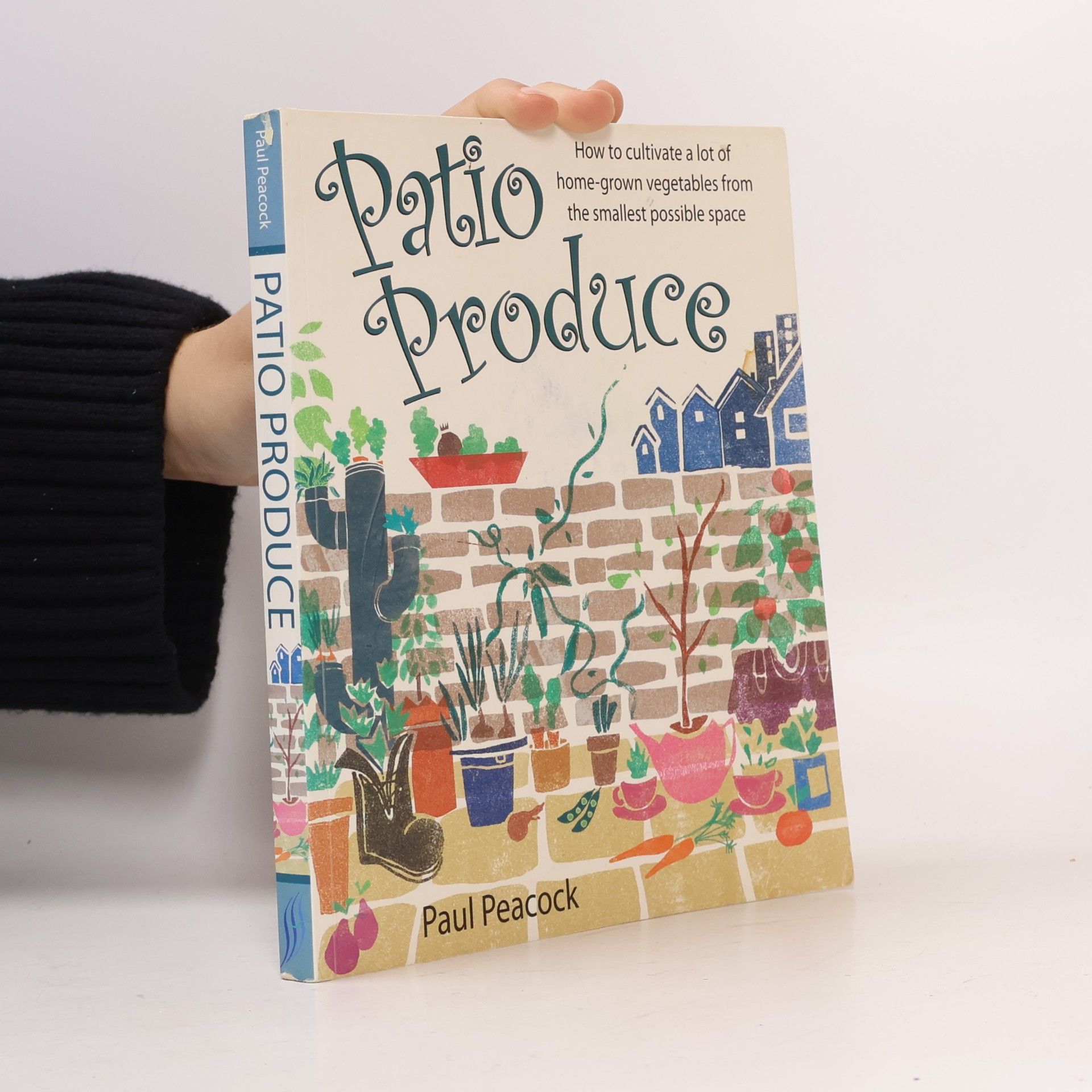 Patio Produce : How to cultivate a lot of home-grown vegetables from the smallest possible space