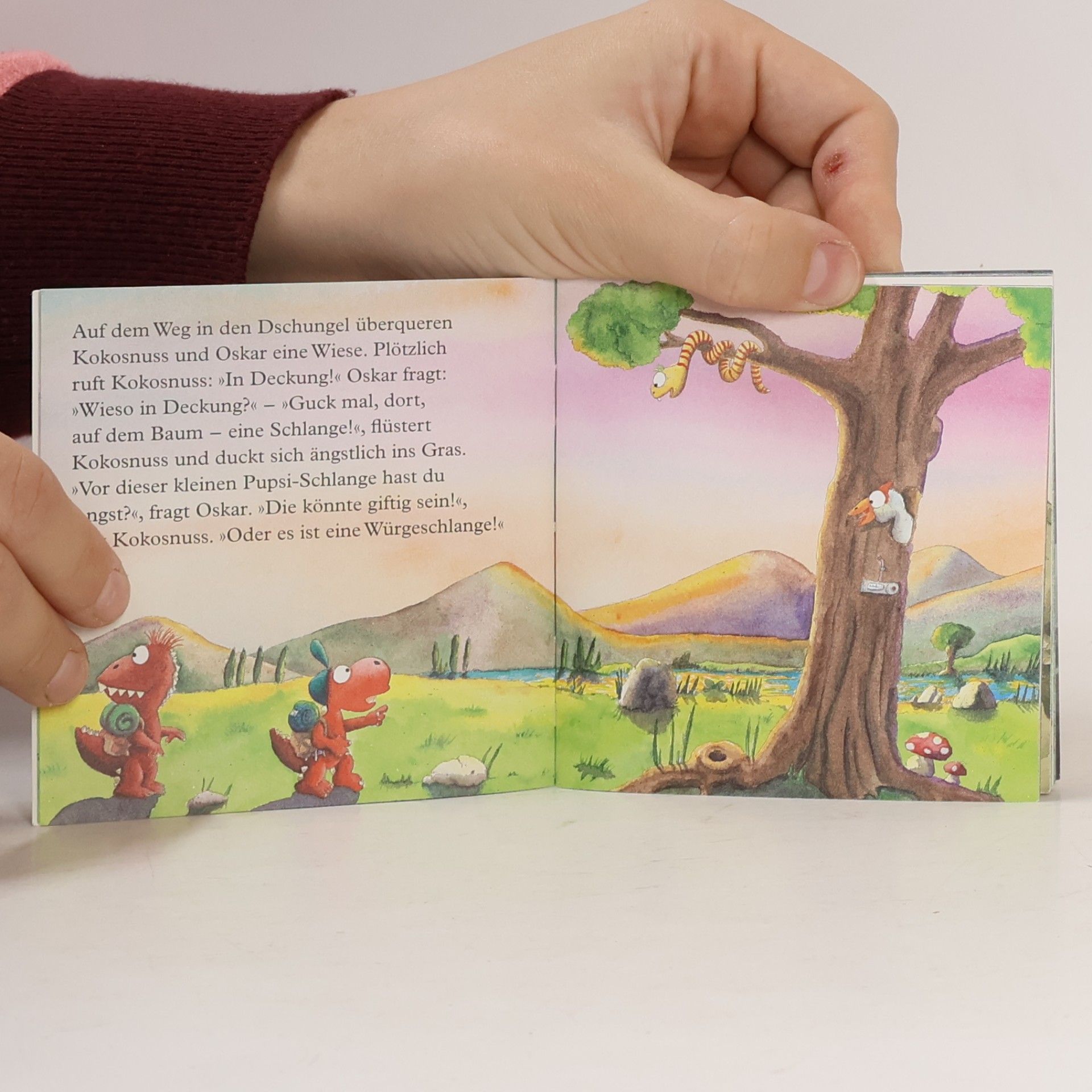 Ingo Siegner Der kleine Drache Kokosnuss geht in den Kindergarten