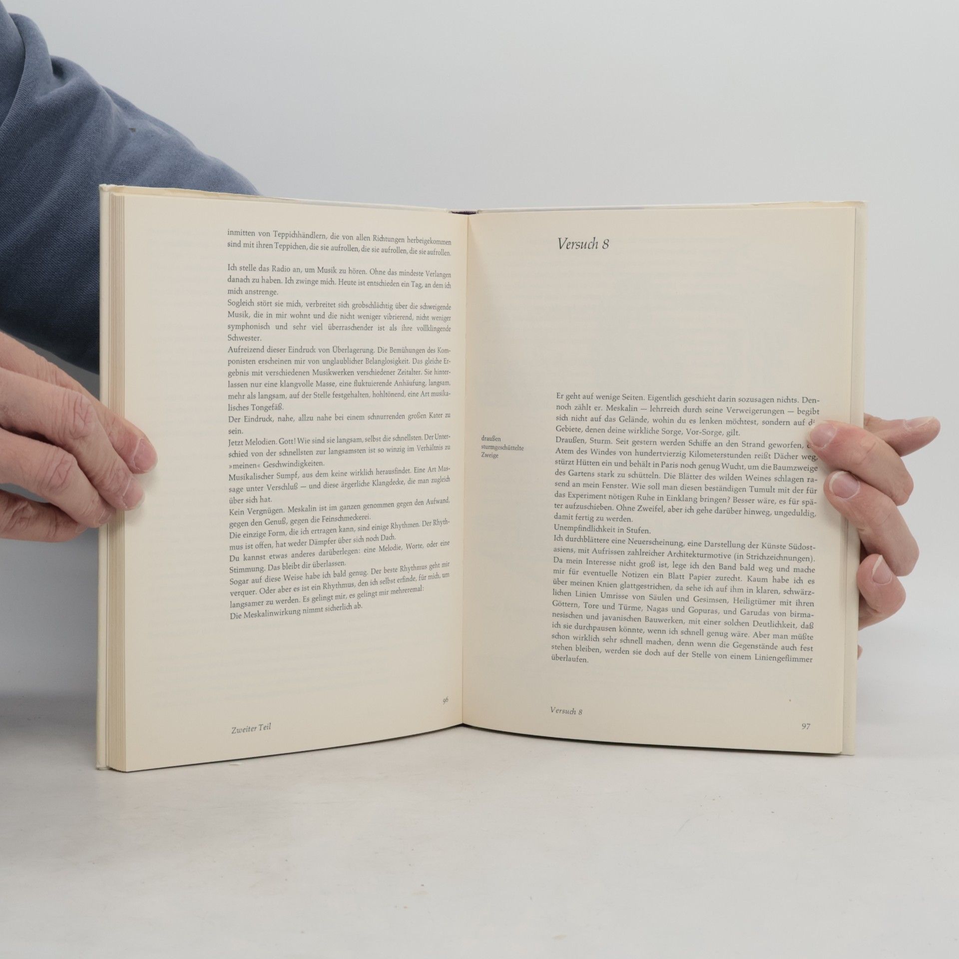 Henri Michaux Turbulenz im Unendlichen