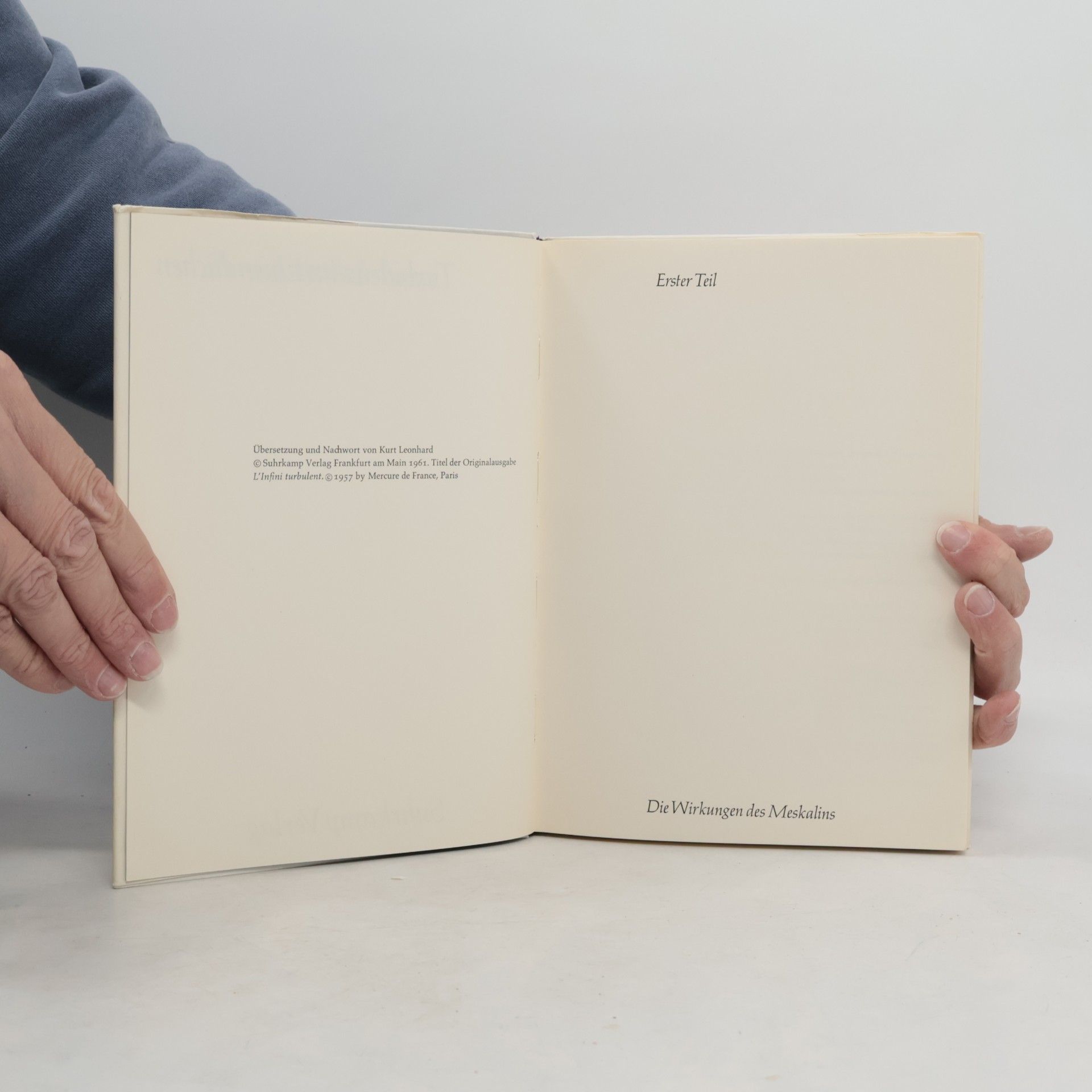 Henri Michaux Turbulenz im Unendlichen