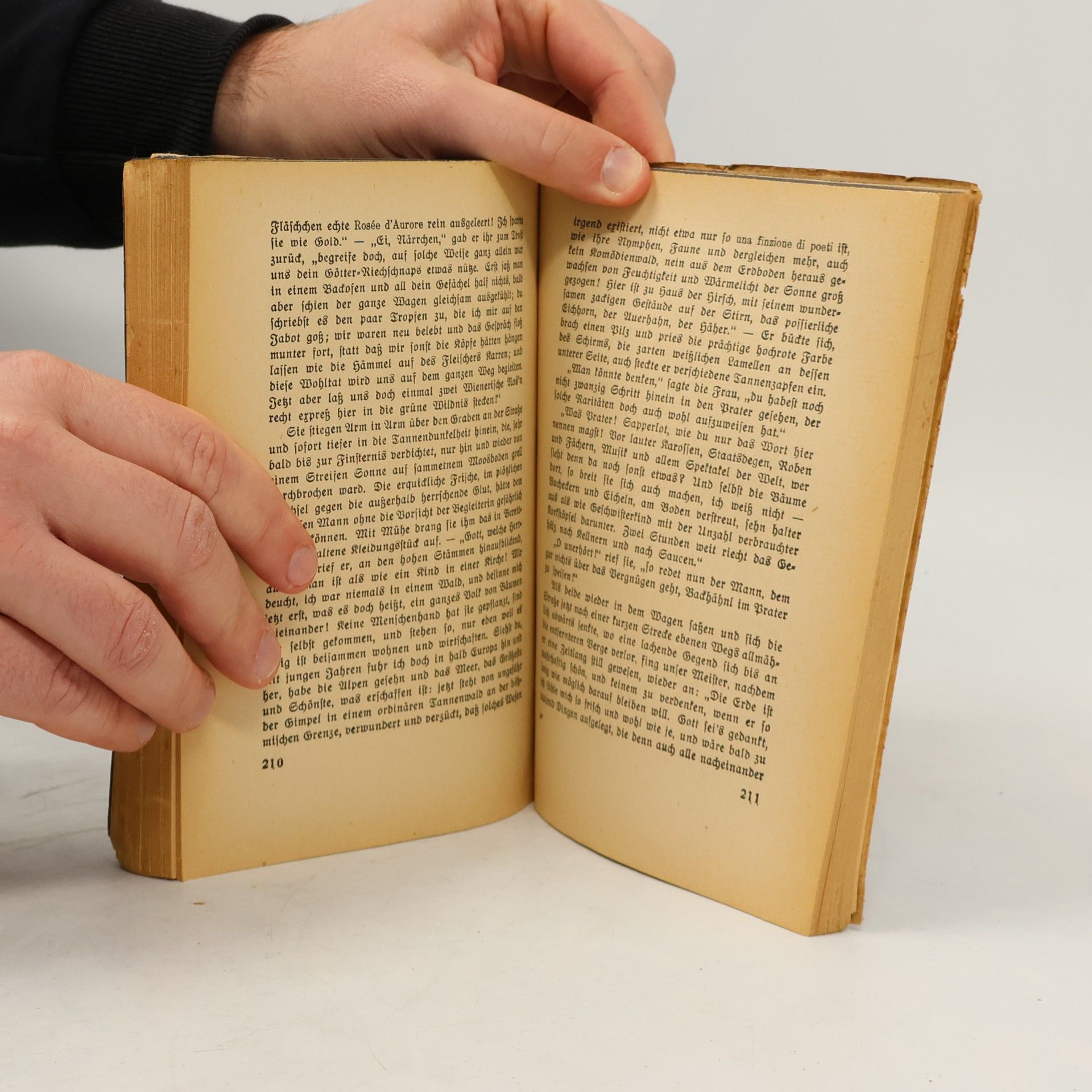 Eduard Mörike Gedichte und Erzählungen