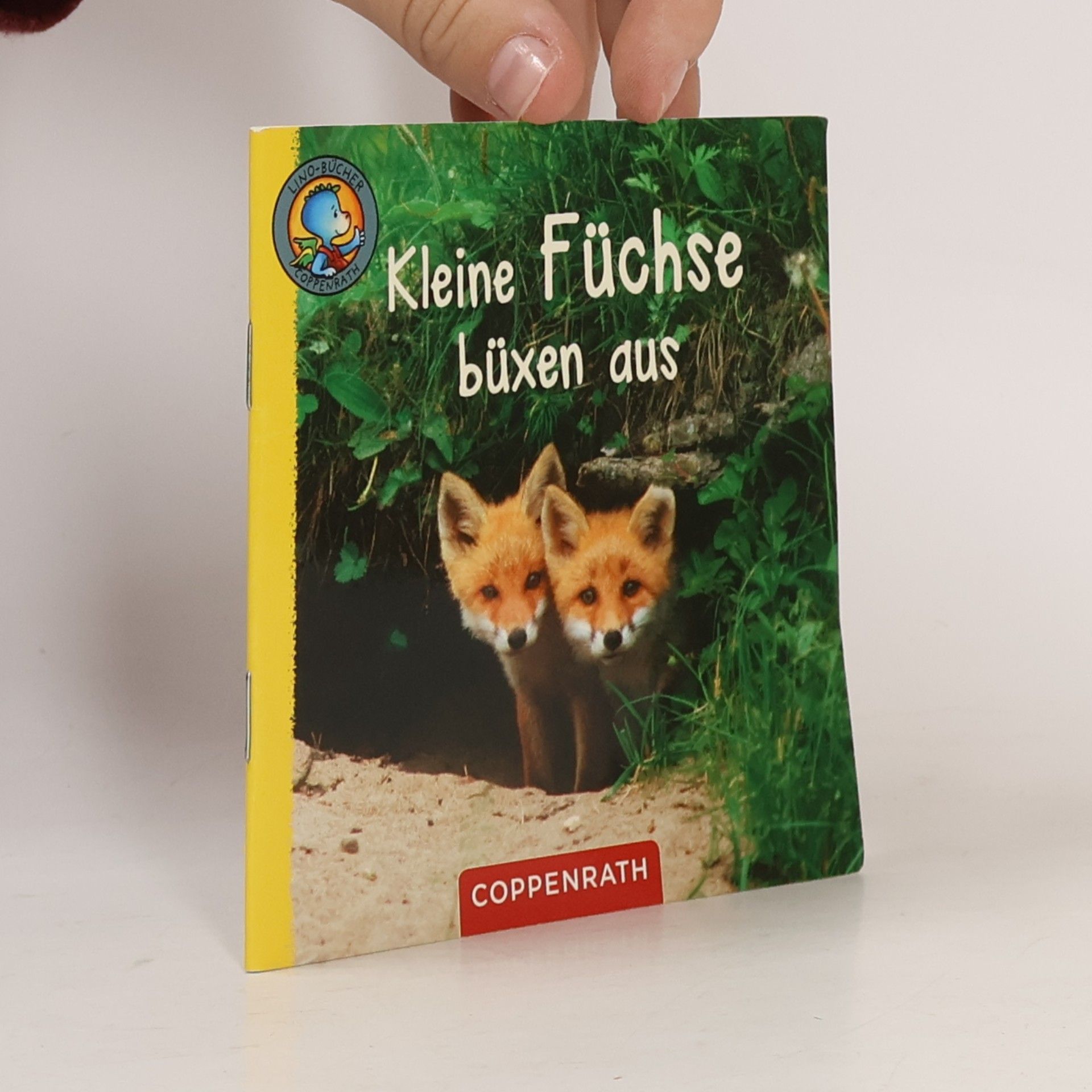 Kleine Füchse büxen aus