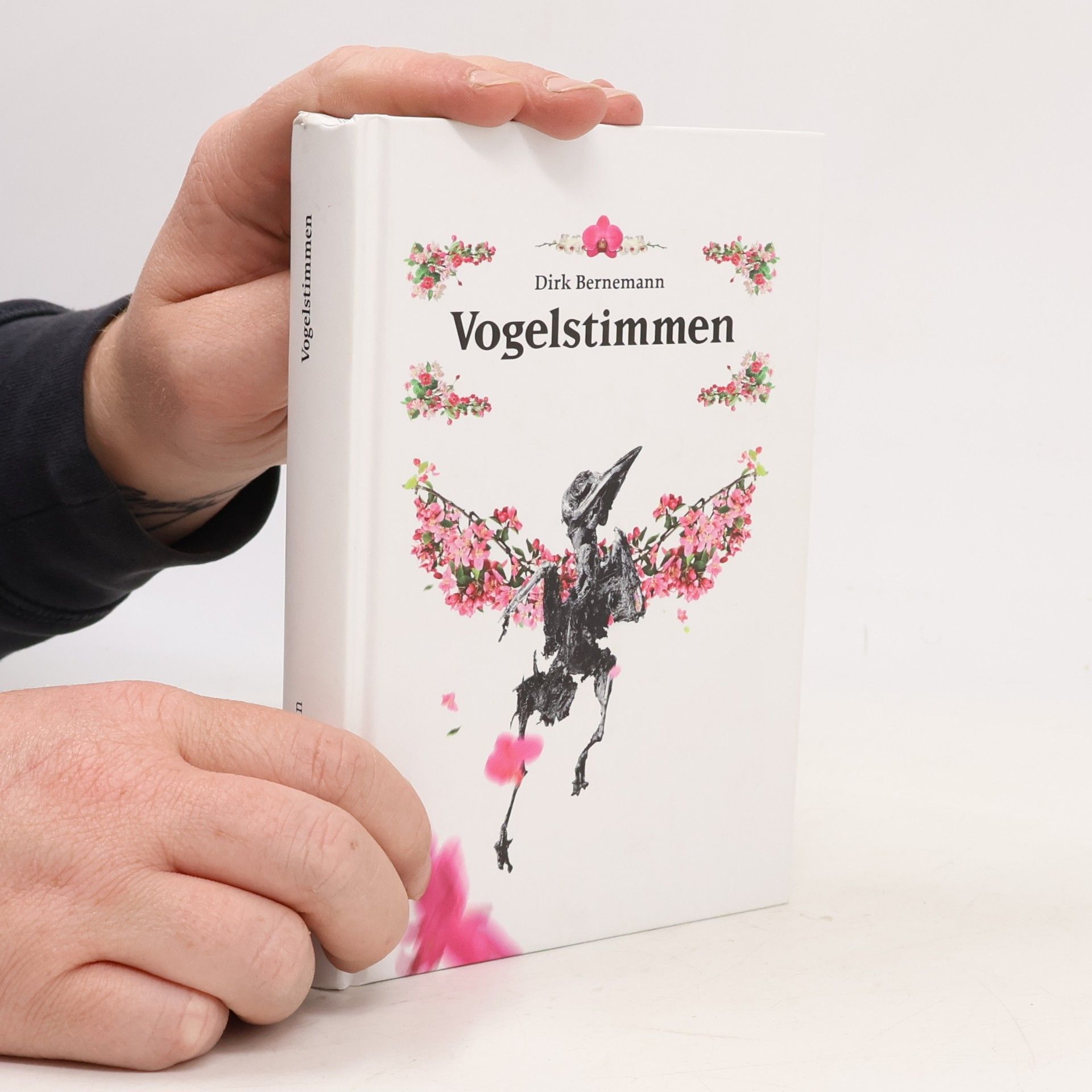 Dirk Bernemann Vogelstimmen