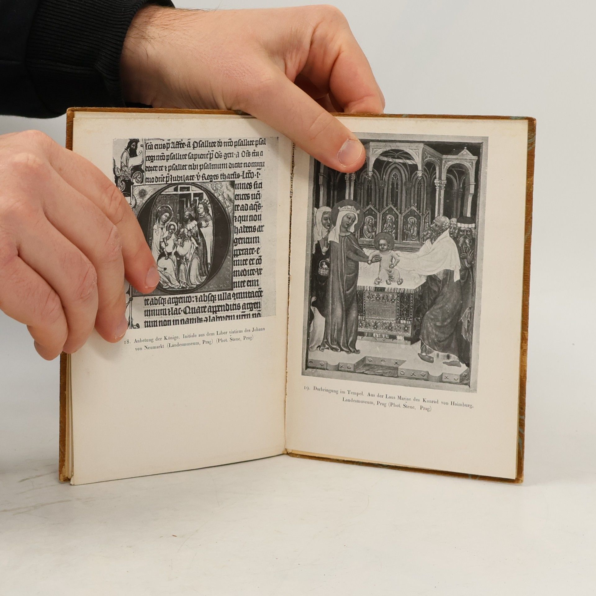 Matějček A. Der Kunstgeschichte band 12: Die böhmische Malerei
