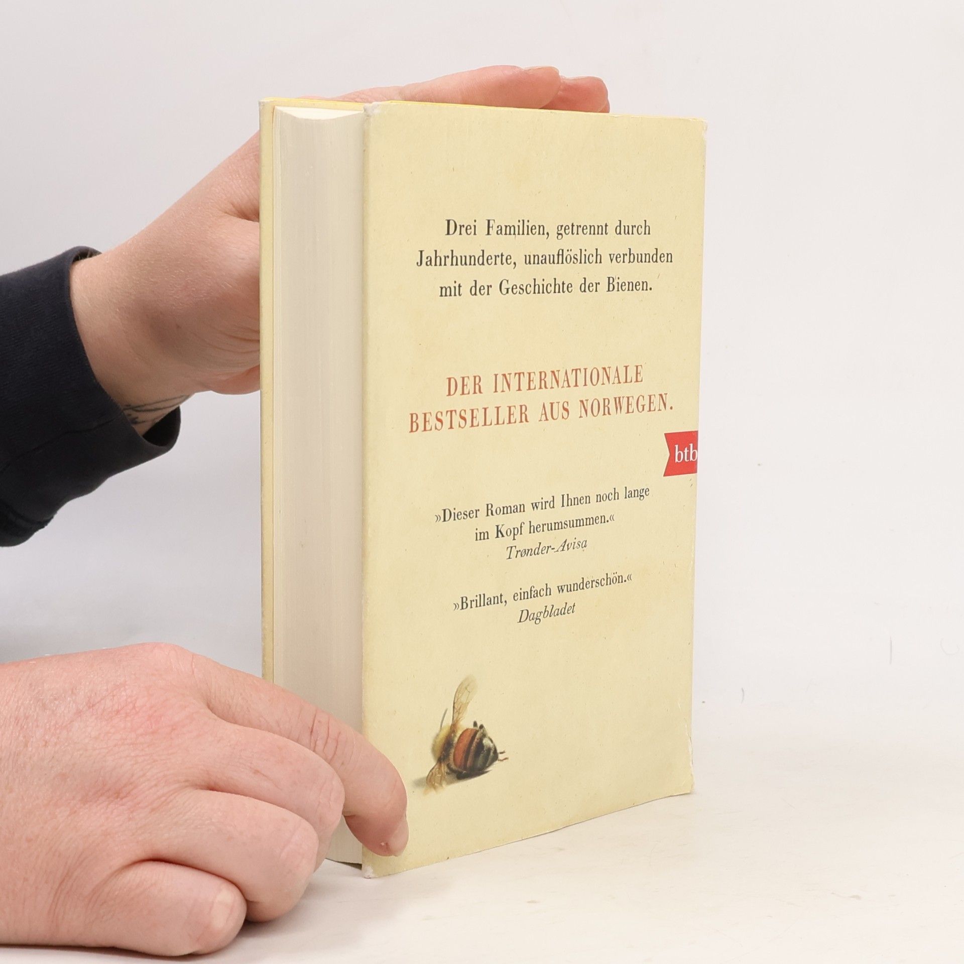 Maja Lunde Die Geschichte der Bienen
