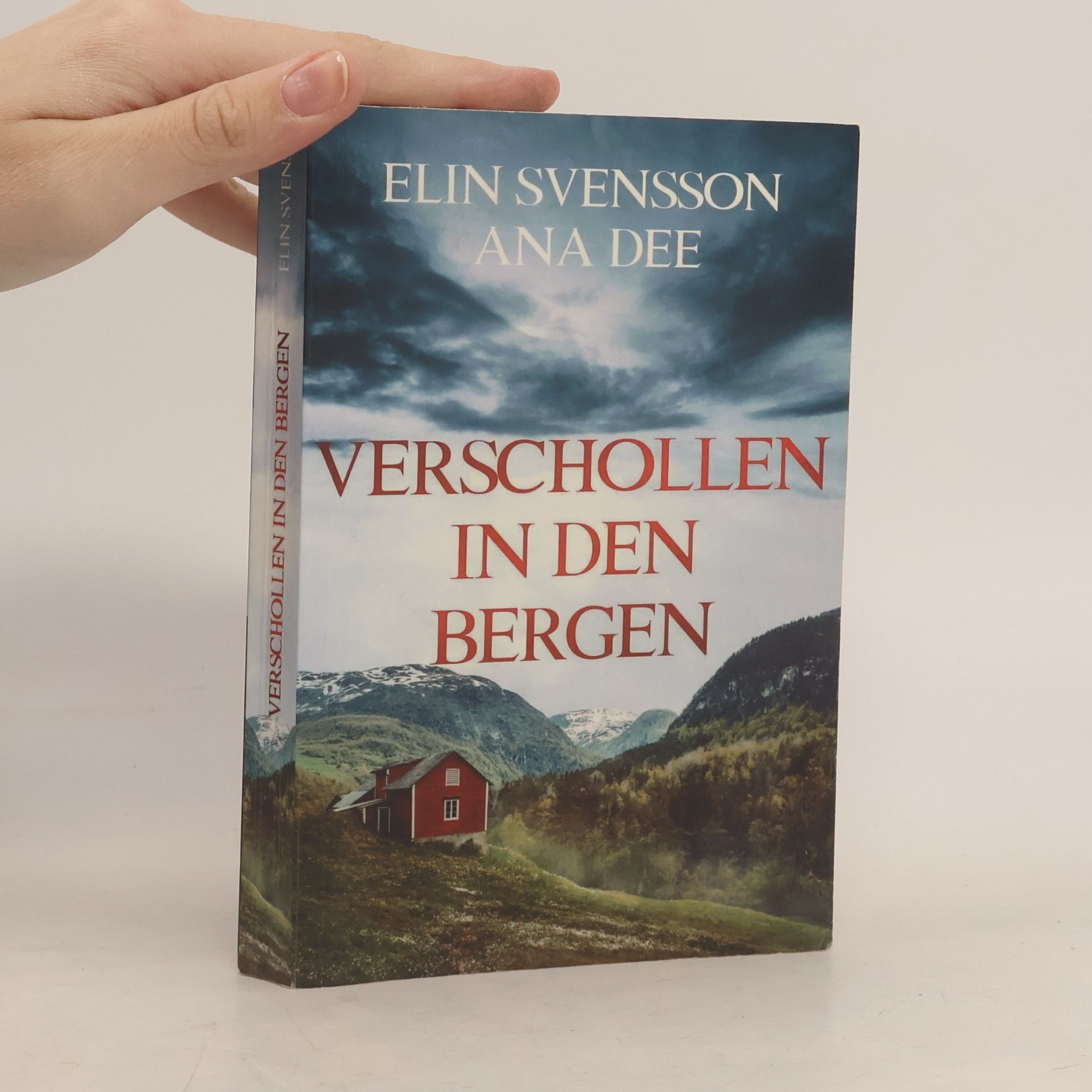 Bergström &amp; Viklund/Verschollen in den Bergen