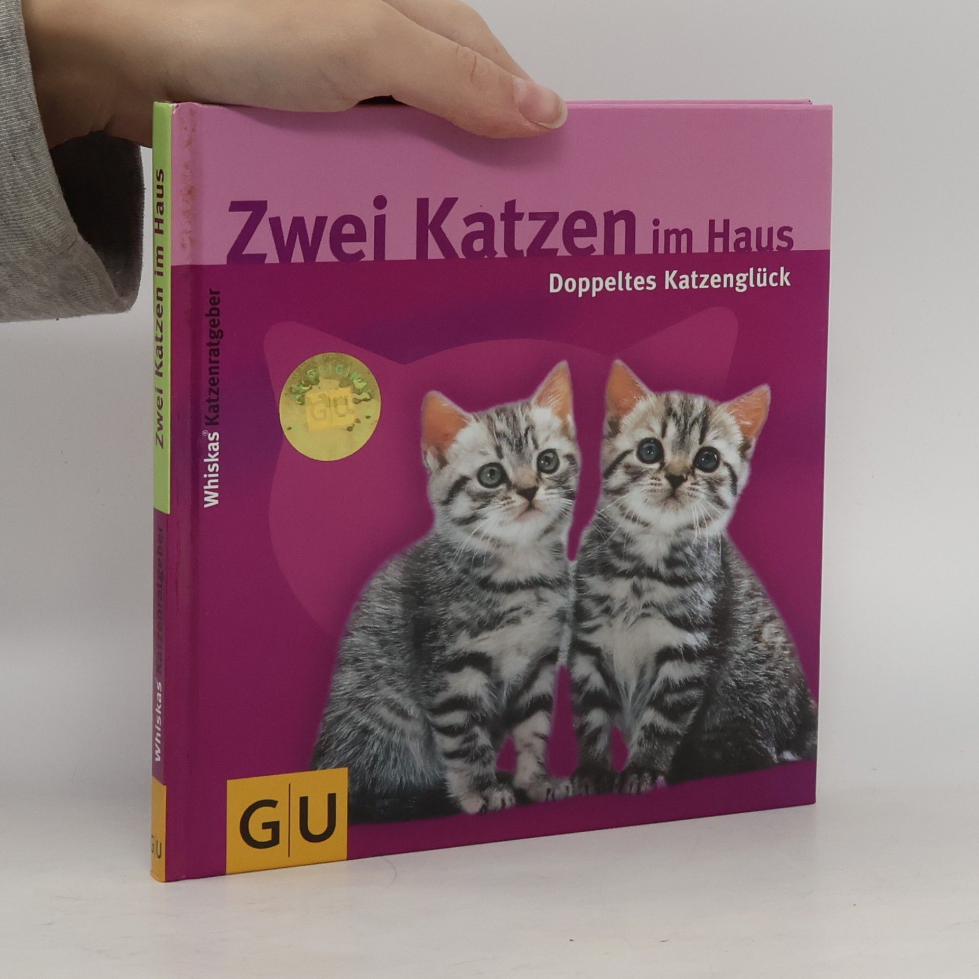Zwei Katzen im Haus