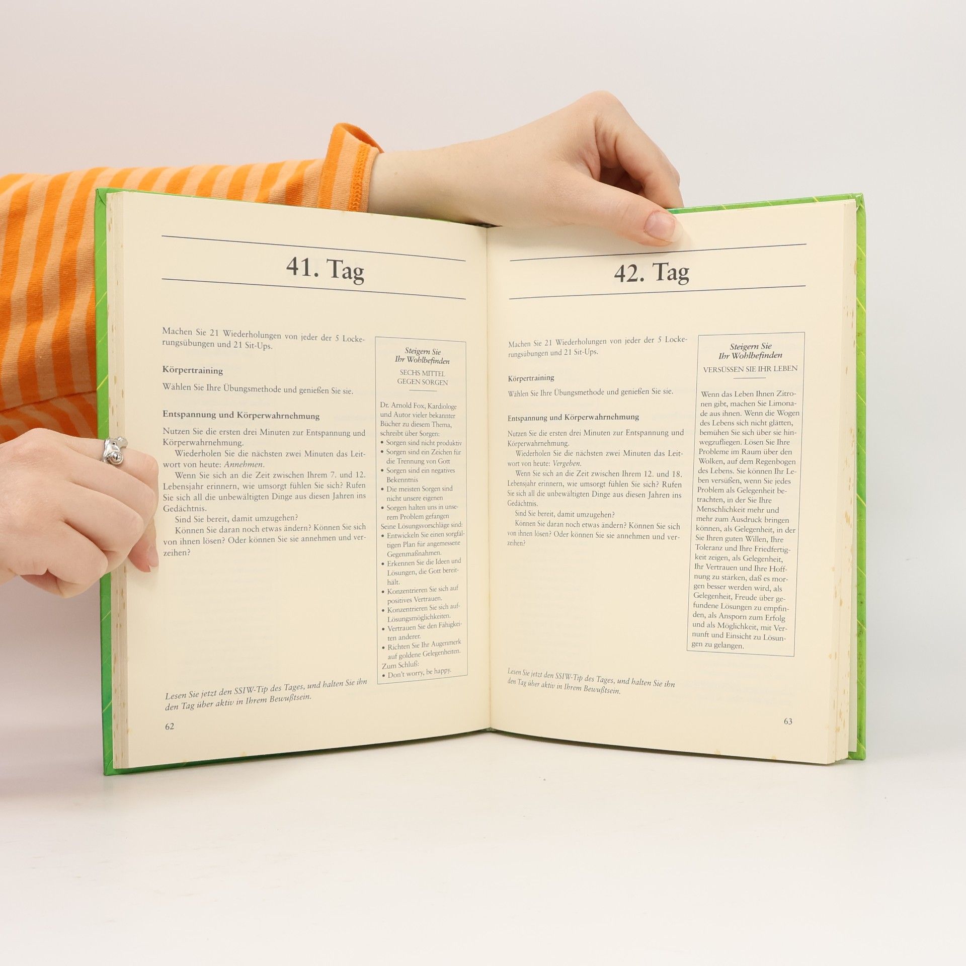 C. Norman Shealy Das 90-Tage-Programm zur Selbstheilung