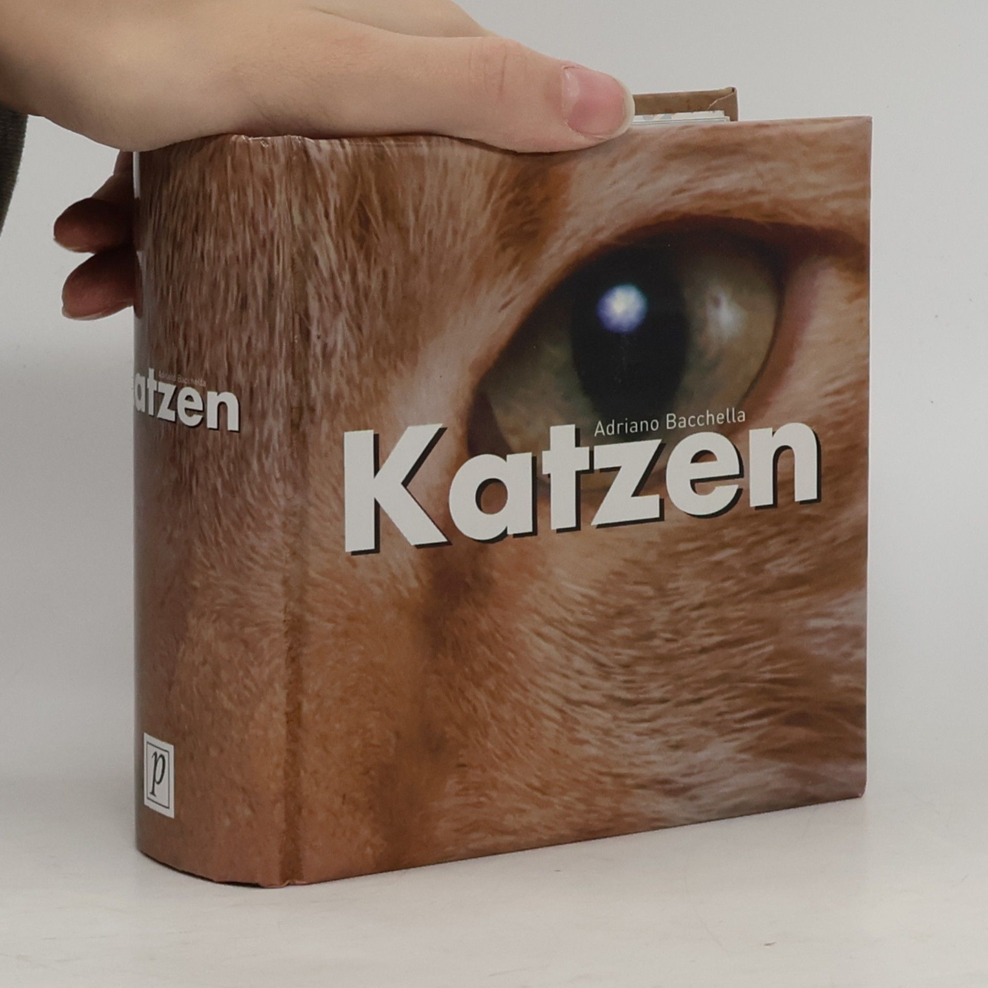 Katzen
