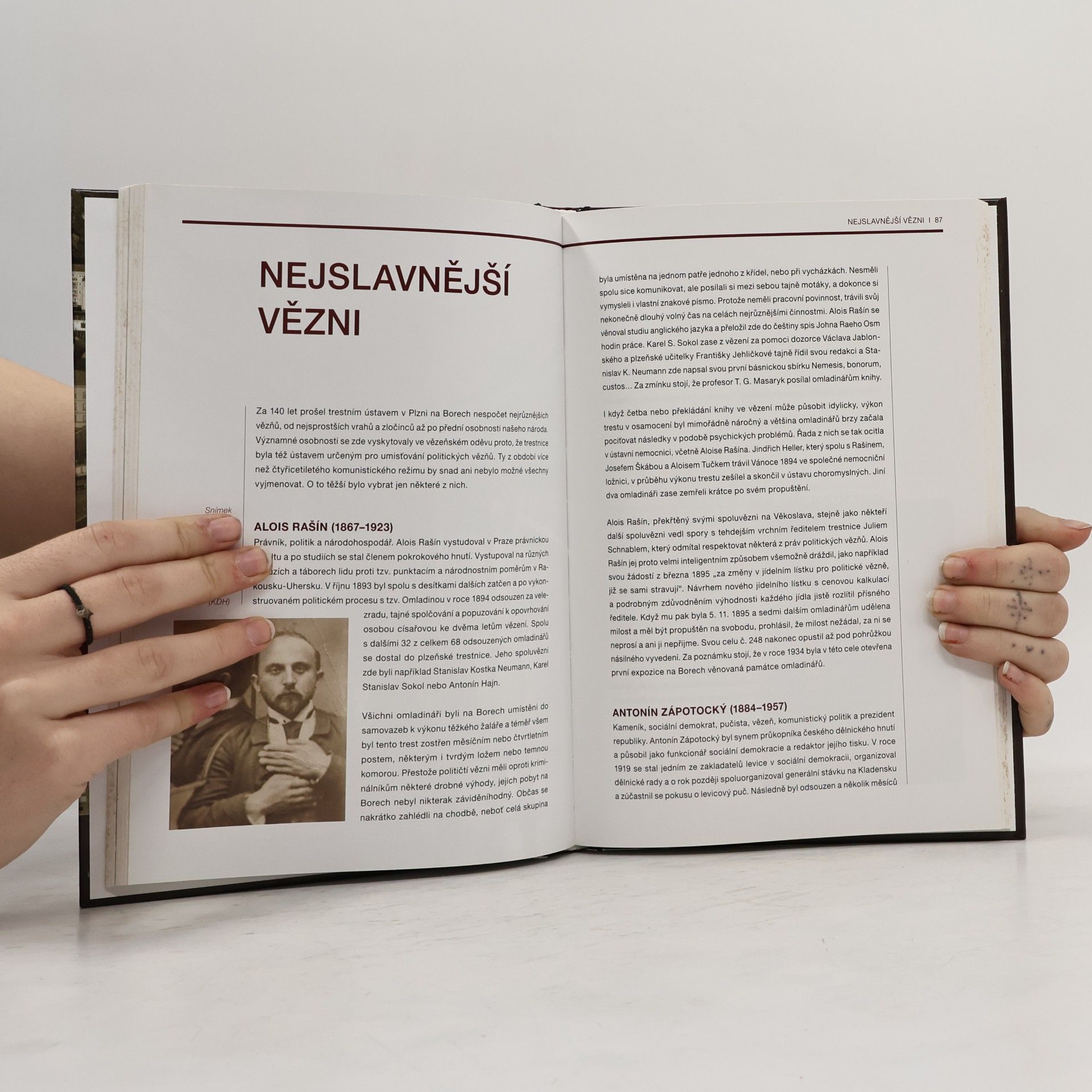 Lukáš Paleček Věznice borská