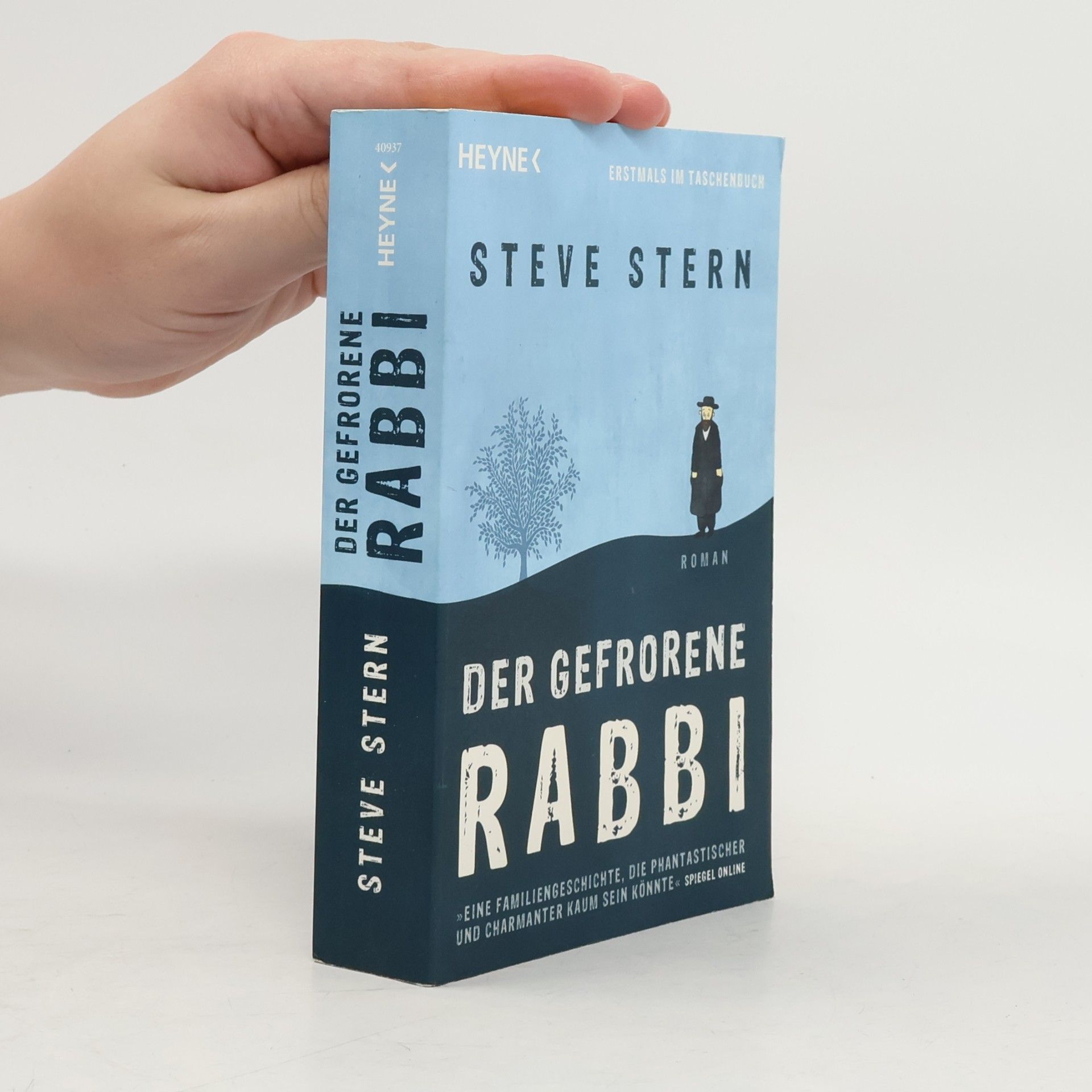 Steve Stern Der gefrorene Rabbi