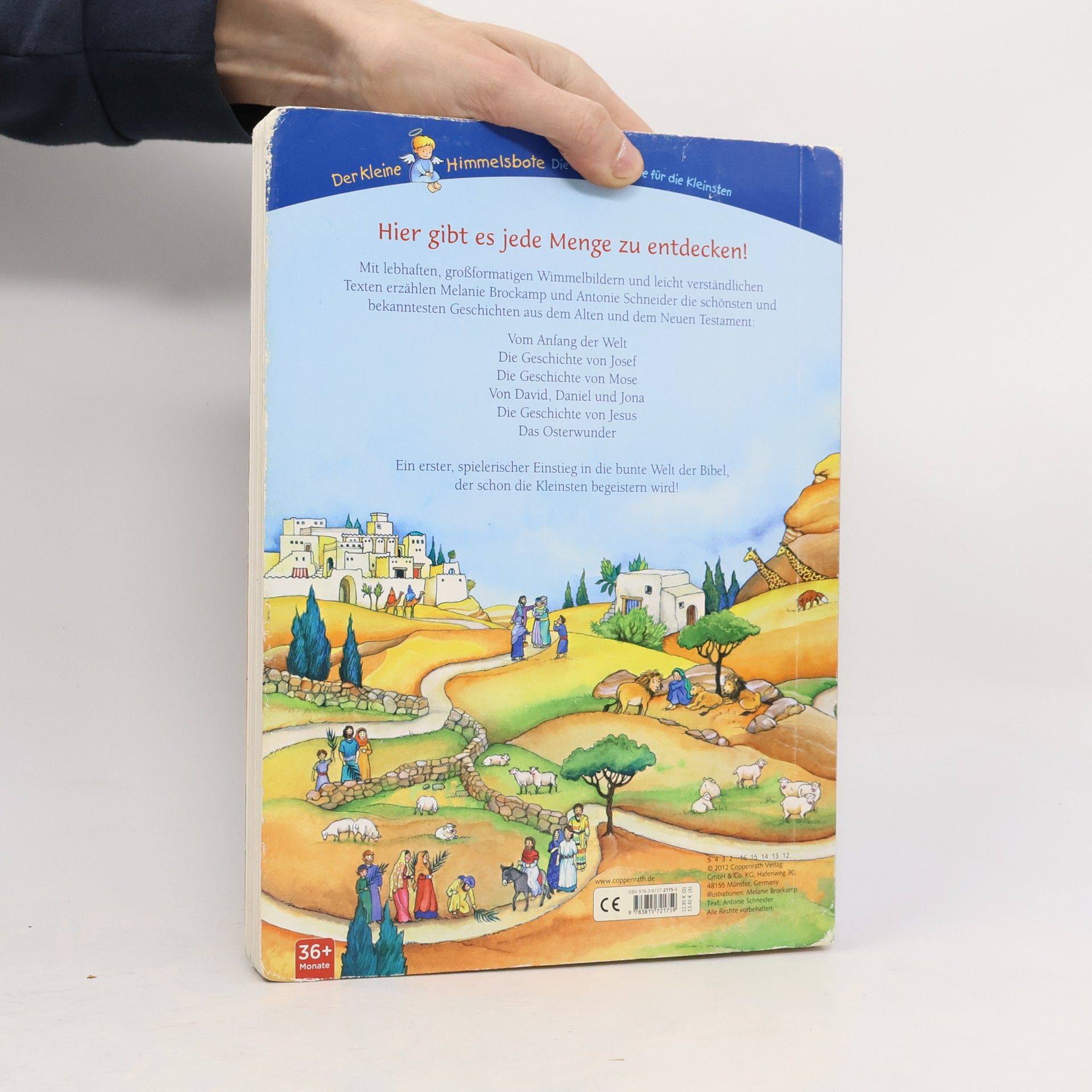Antonie Schneider Mein großes Bibel-Wimmelbuch