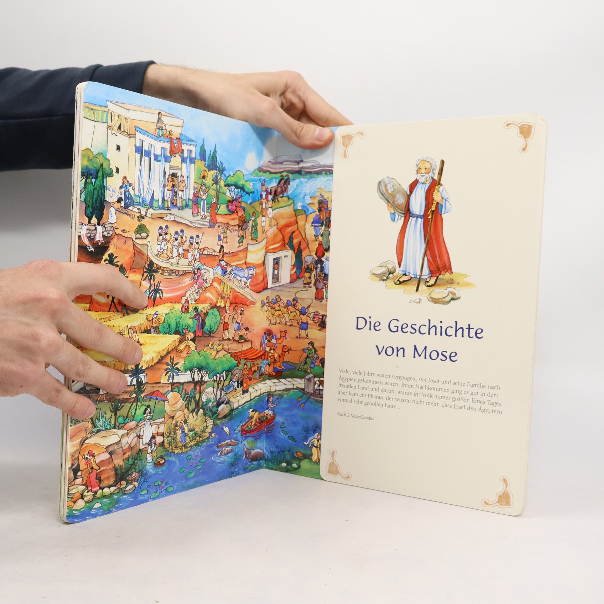 Antonie Schneider Mein großes Bibel-Wimmelbuch