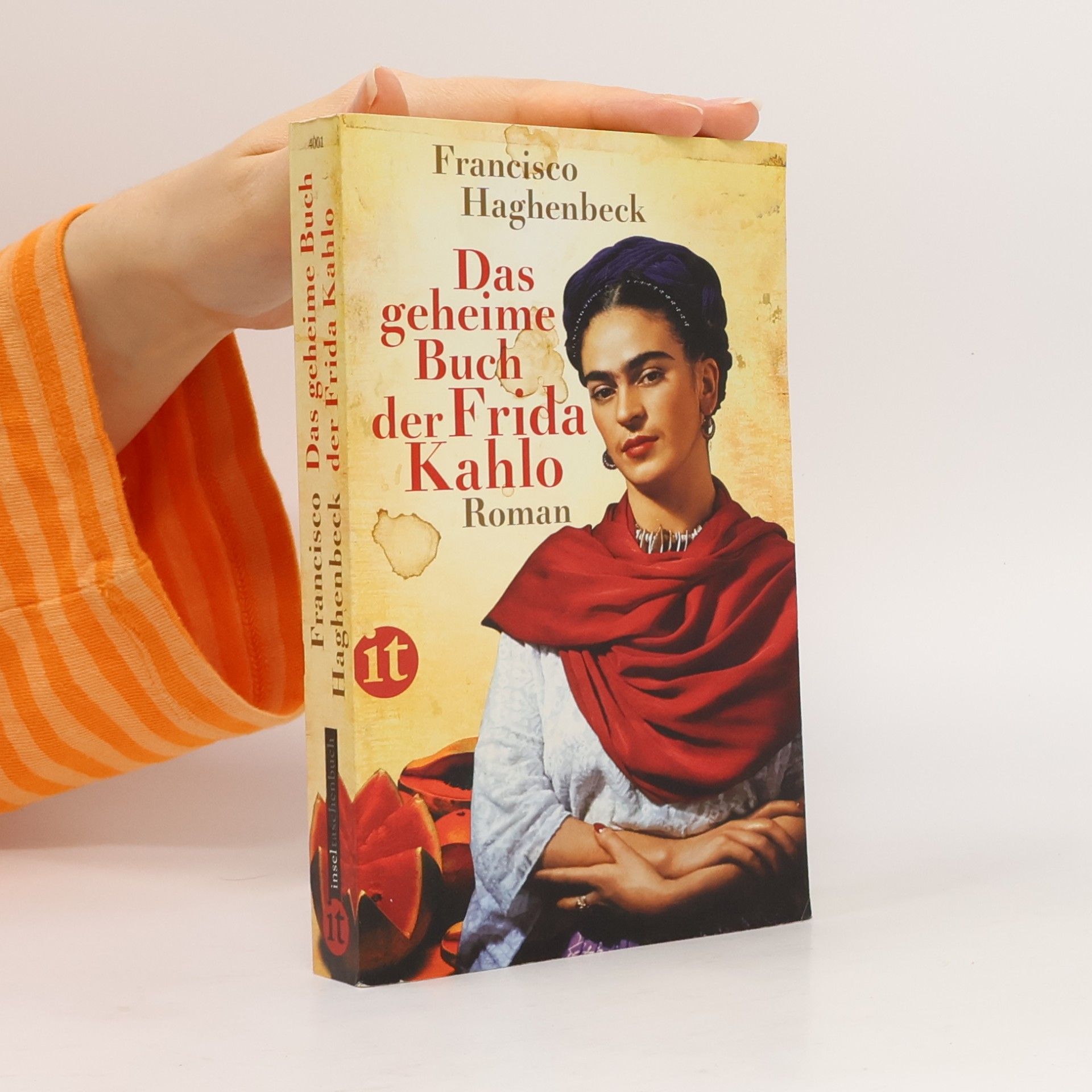Francisco Haghenbeck Das geheime Buch der Frida Kahlo