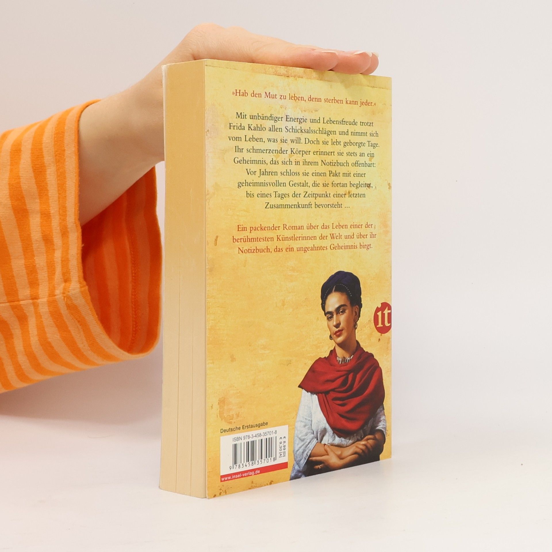 Francisco Haghenbeck Das geheime Buch der Frida Kahlo