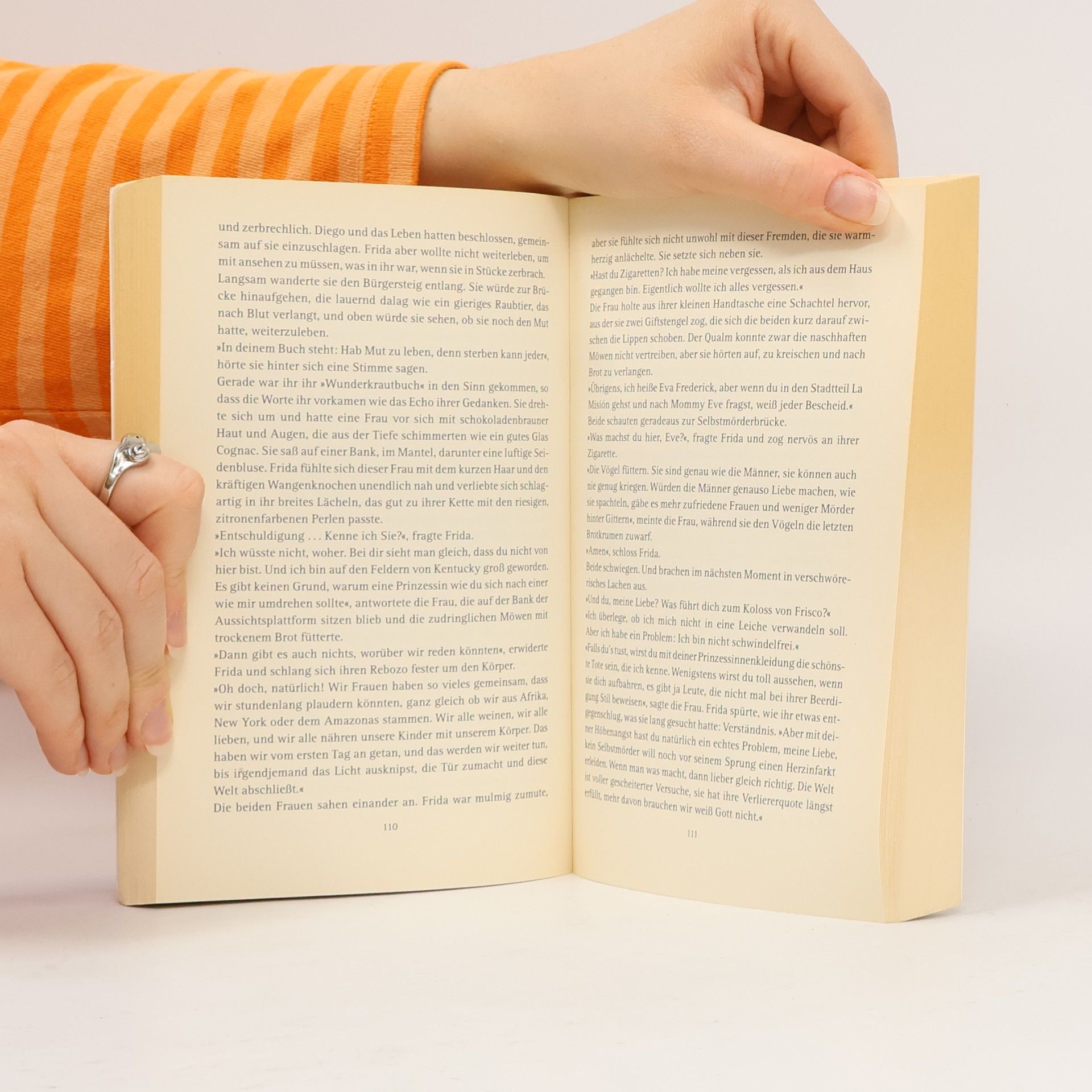 Francisco Haghenbeck Das geheime Buch der Frida Kahlo