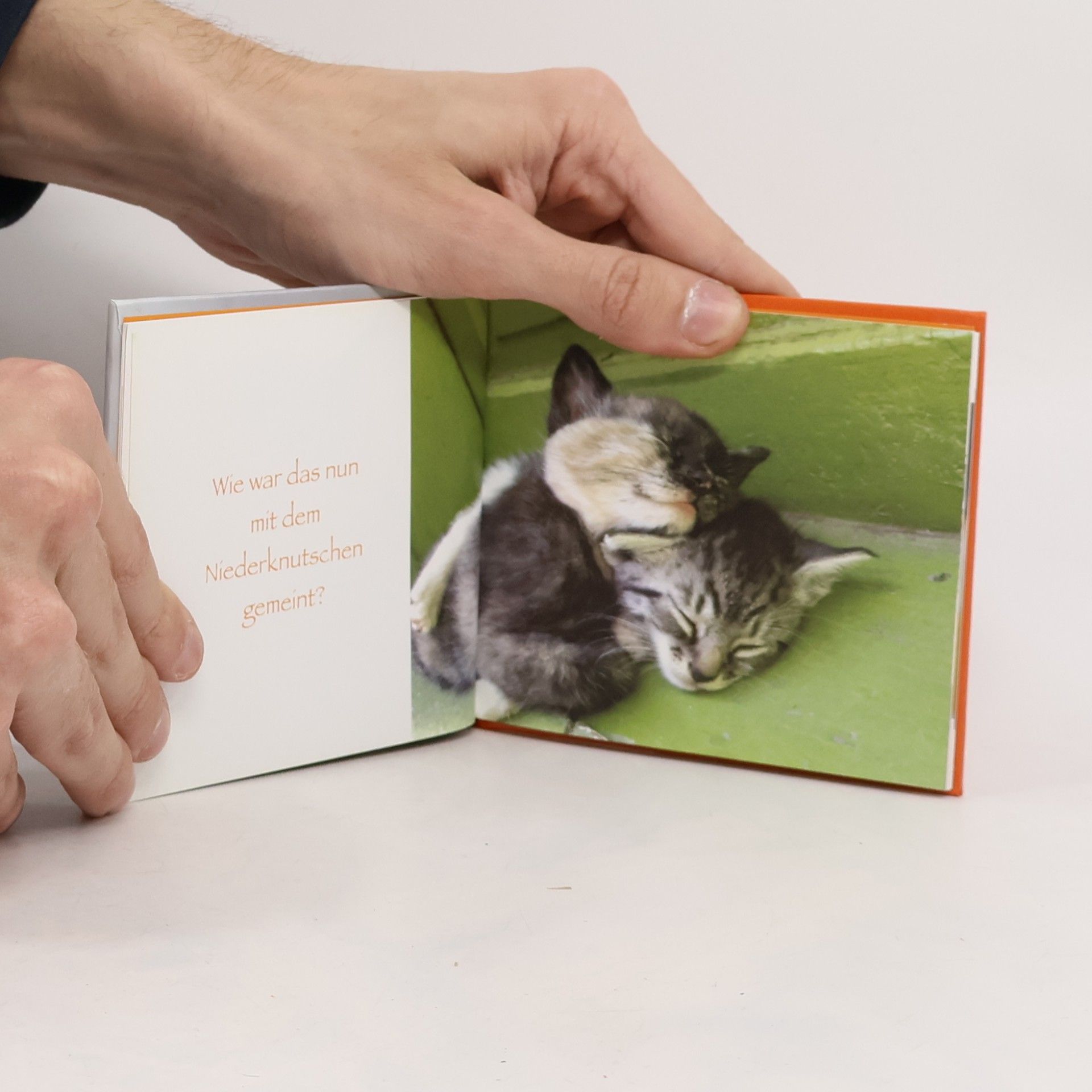 Gute Laune für Katzenfreunde