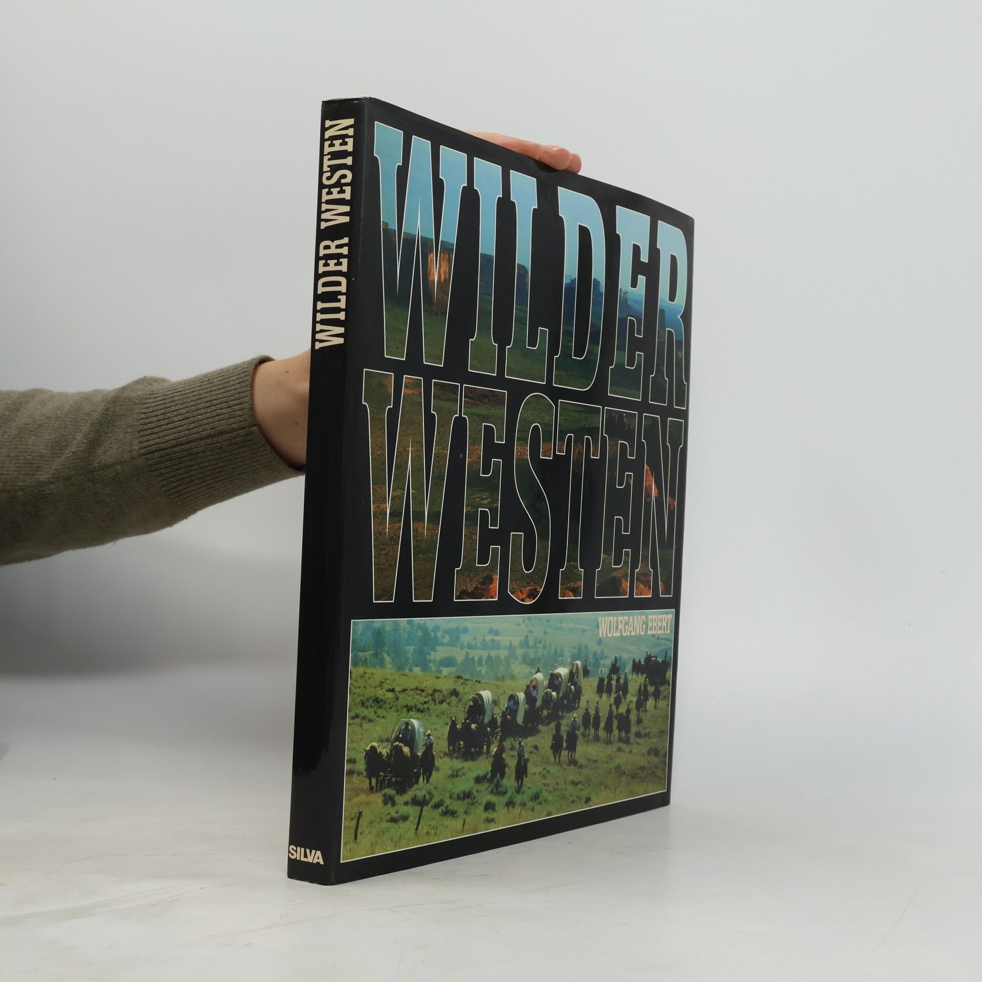 Wilder Westen