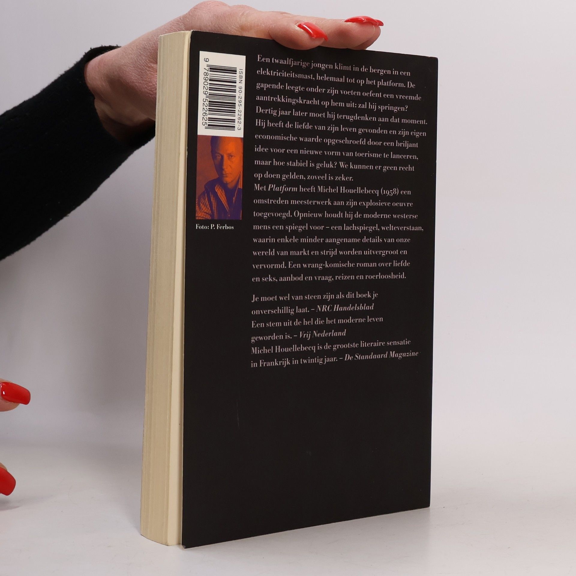 Michel Houellebecq Platform