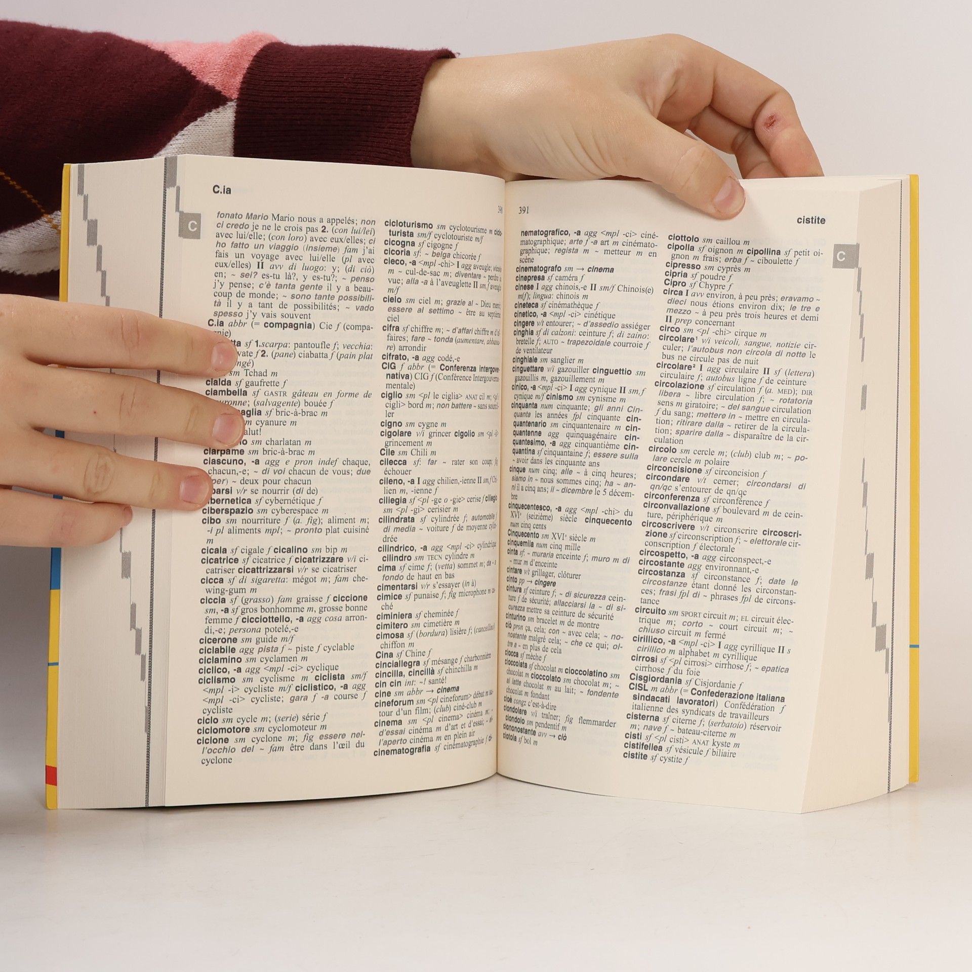 Dizionari Langenscheidt: Dizionario francese Langenscheidt universale