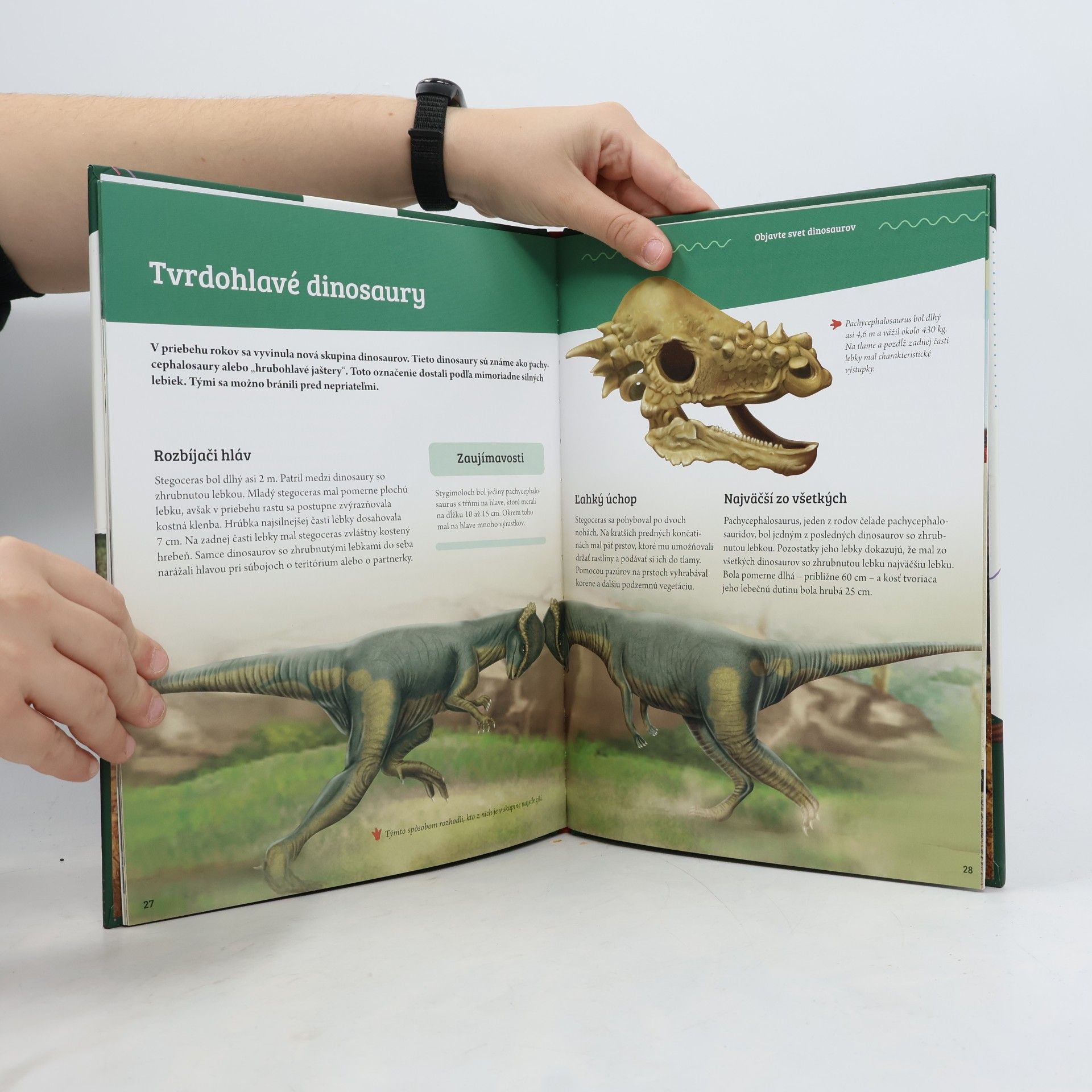 Kolektiv autorů Objavuj svet! - Dinosaury