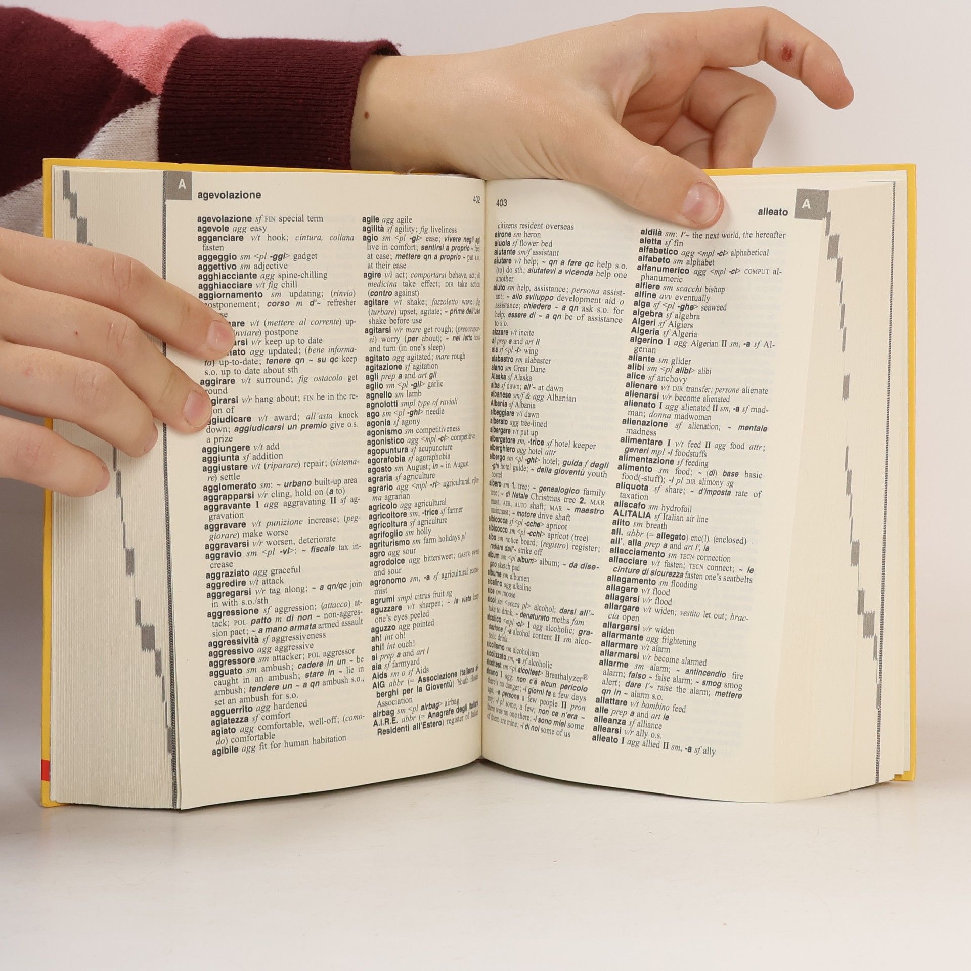 Dizionari Langenscheidt: Dizionario inglese Langenscheidt