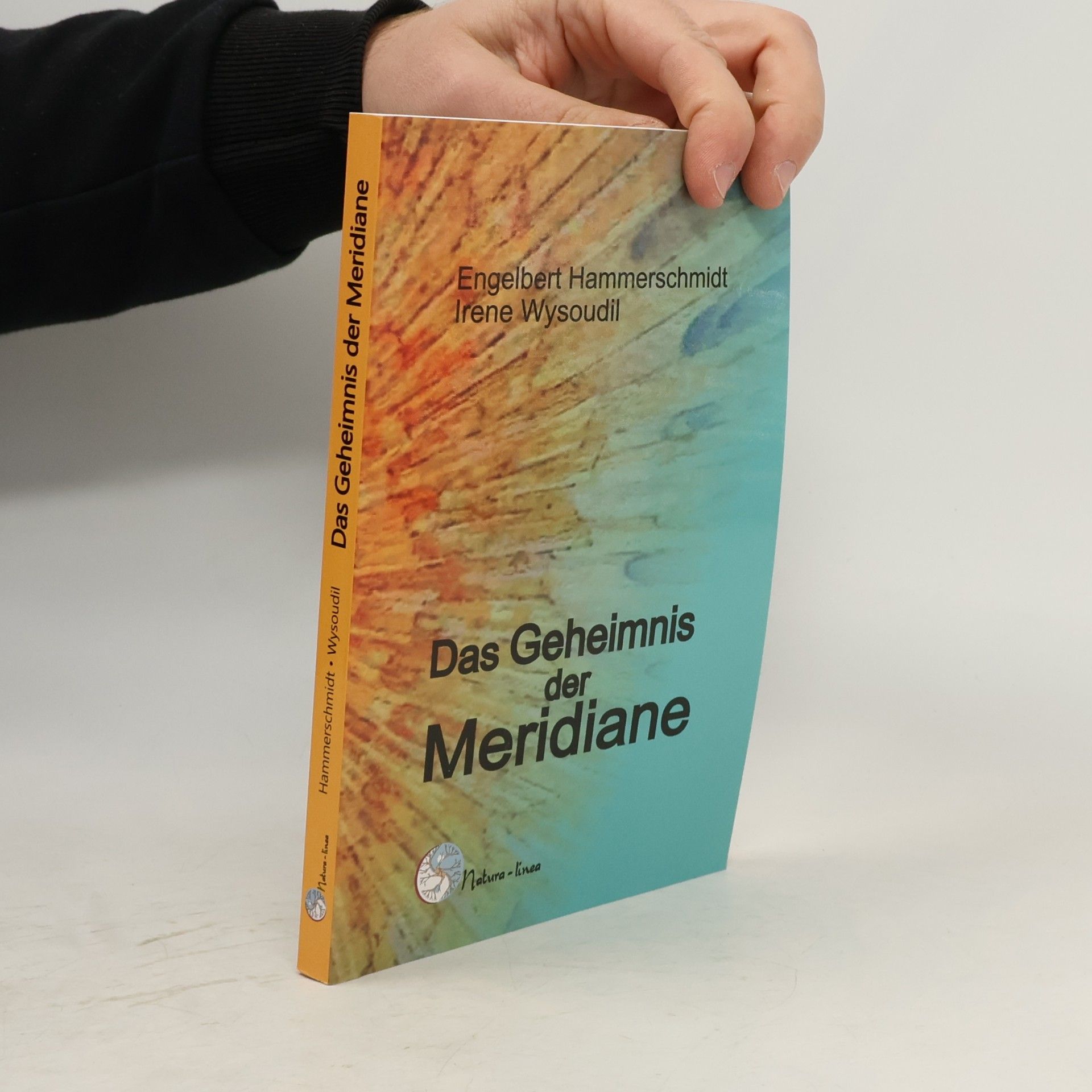 Das Geheimnis der Meridiane