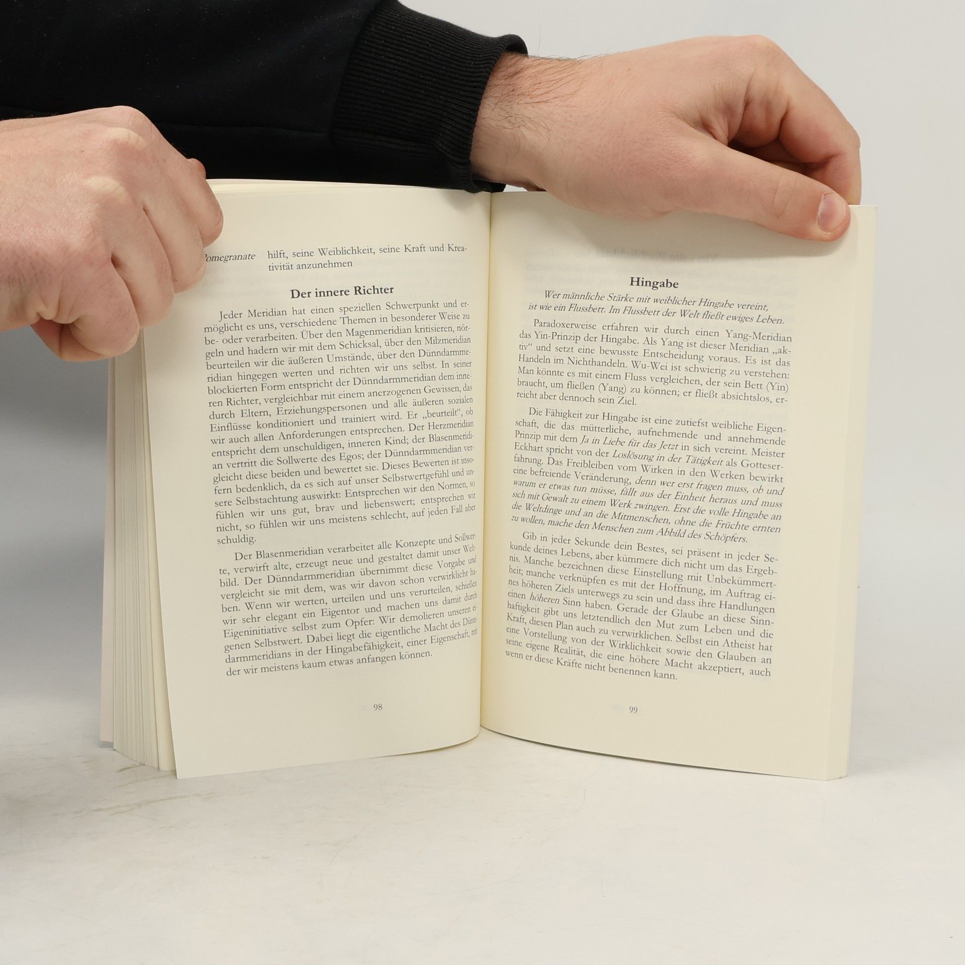 Engelbert Hammerschmidt Das Geheimnis der Meridiane