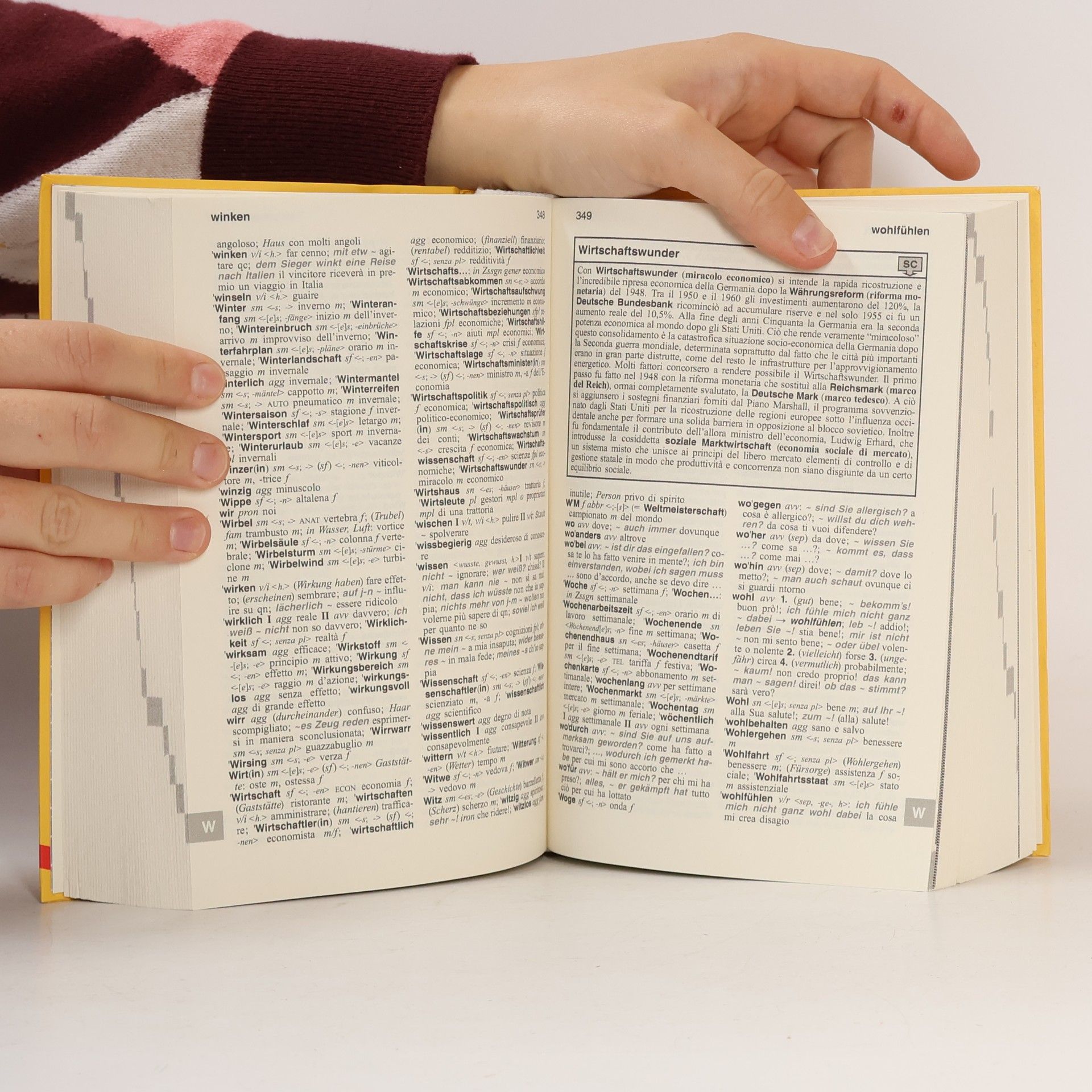 Dizionari Langenscheidt: Dizionario tedesco Langenscheidt