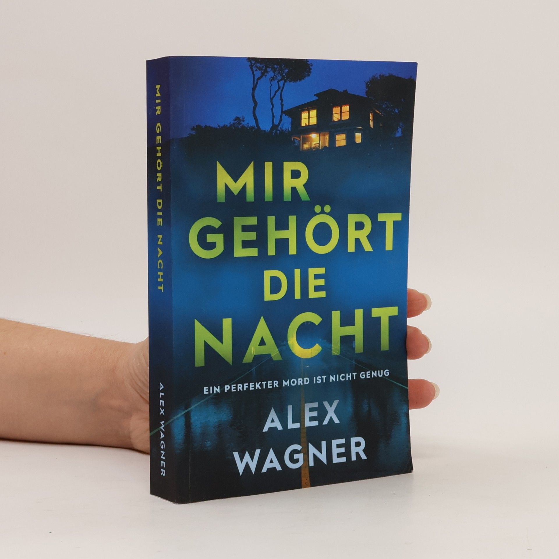 Westerholt & Storm Thriller - 1: Mir gehört die Nacht