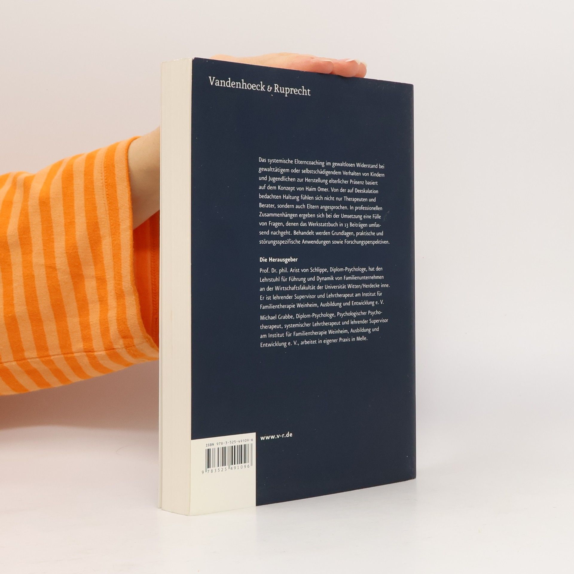 Arist von Schlippe Werkstattbuch Elterncoaching