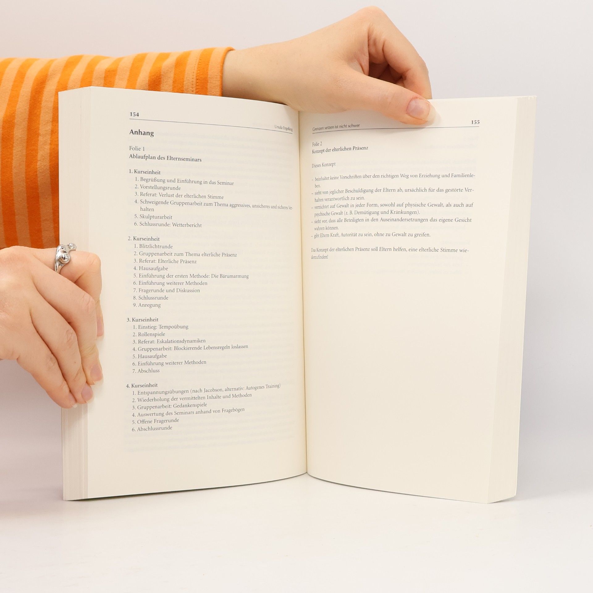 Arist von Schlippe Werkstattbuch Elterncoaching