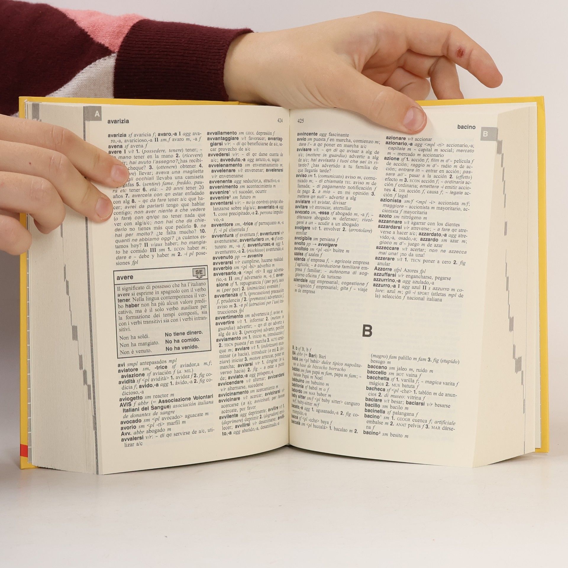 Dizionari Langenscheidt: Dizionario spagnolo Langenscheidt